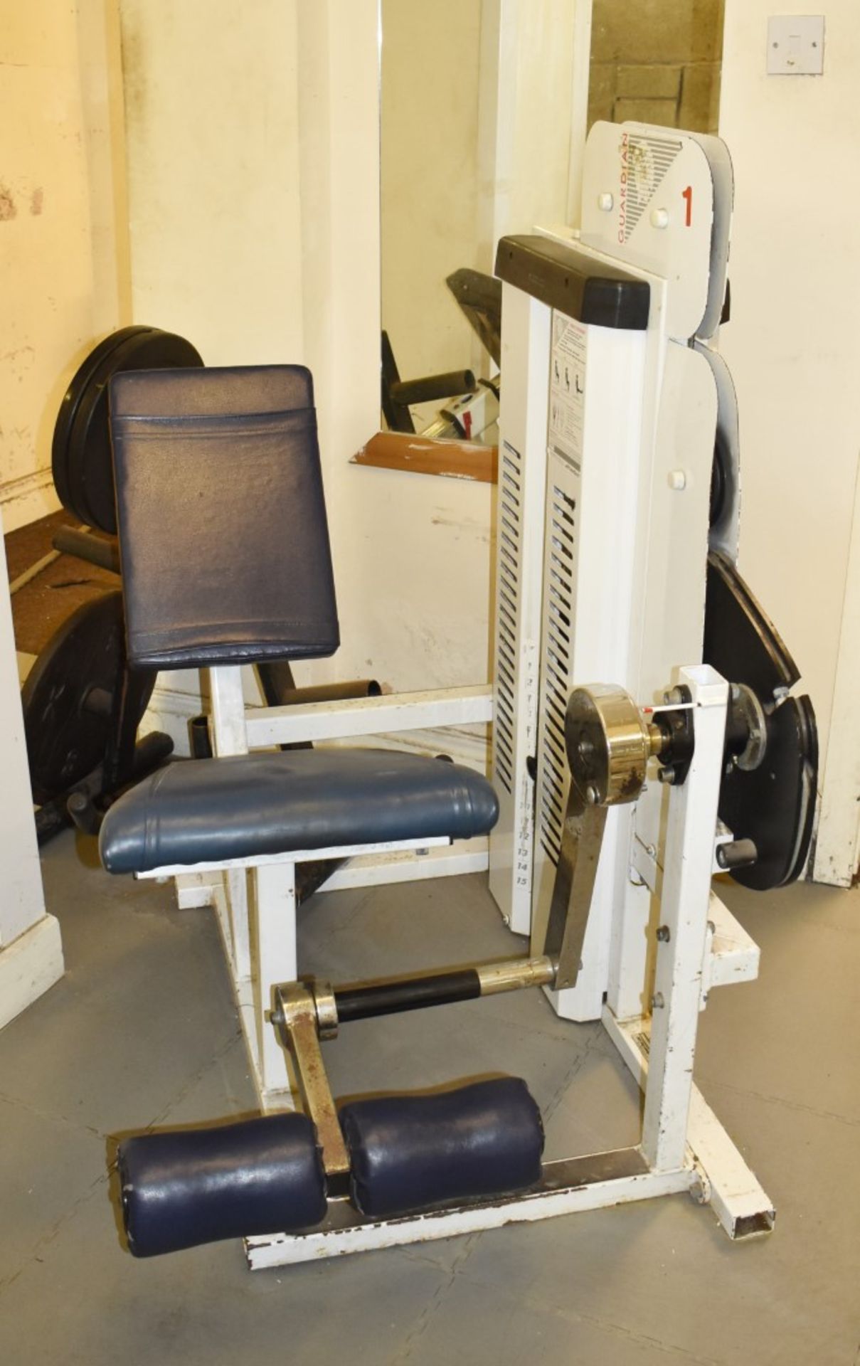 Contents of Bodybuilding and Strongman Gym - Includes Approx 30 Pieces of Gym Equipment, Floor Mats, - Image 35 of 95