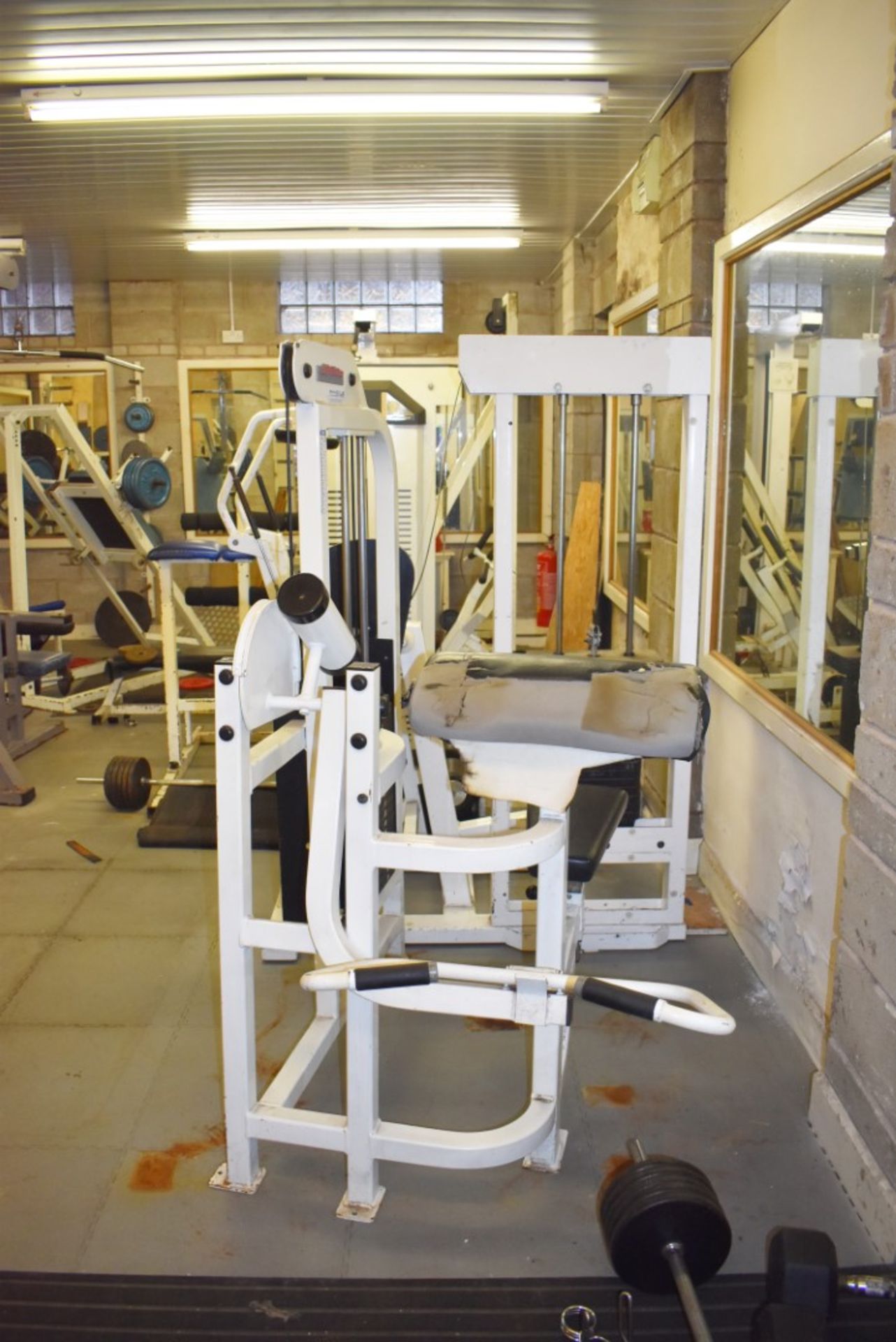 Contents of Bodybuilding and Strongman Gym - Includes Approx 30 Pieces of Gym Equipment, Floor Mats, - Image 56 of 95