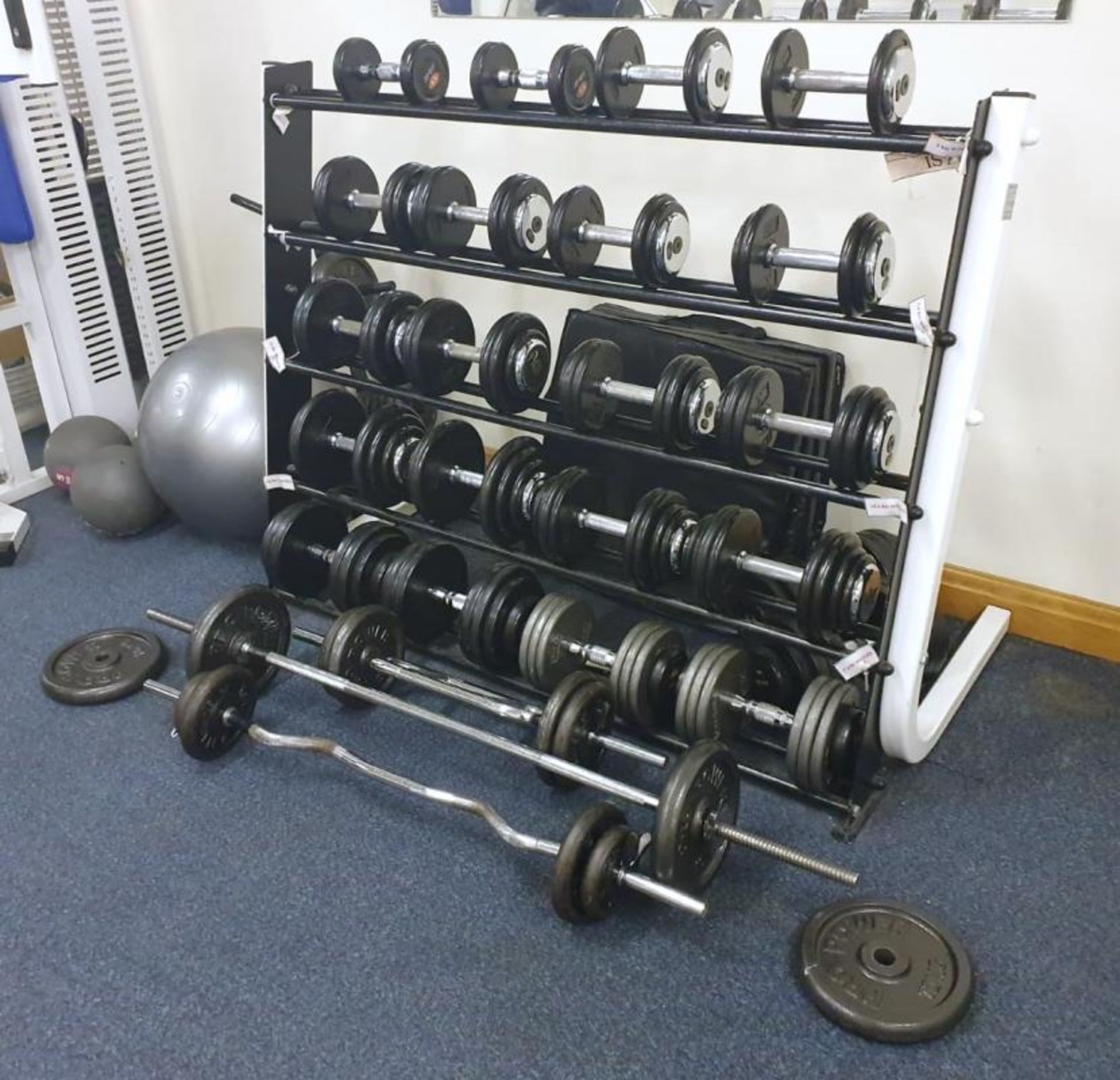 Large Collection of Various Weights Including Approx 20 x Dumbbell Weights With Stand and More - Pro