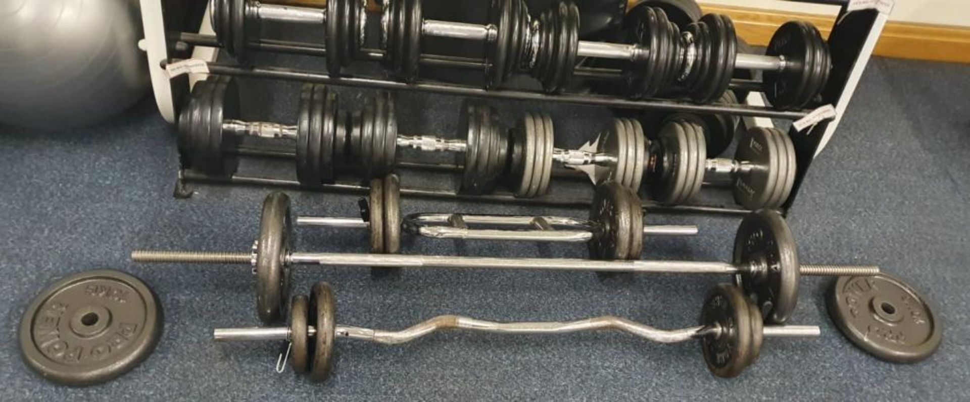 Large Collection of Various Weights Including Approx 20 x Dumbbell Weights With Stand and More - Pro - Image 8 of 13