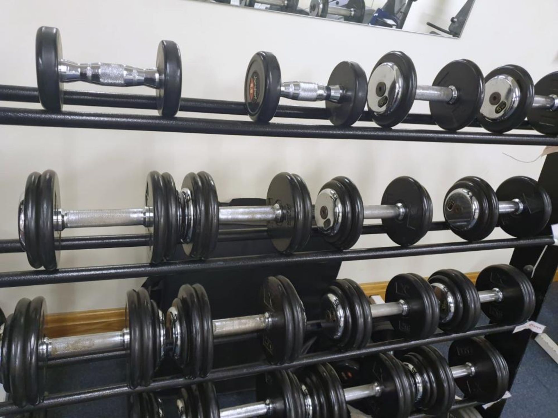 Large Collection of Various Weights Including Approx 20 x Dumbbell Weights With Stand and More - Pro - Image 12 of 13