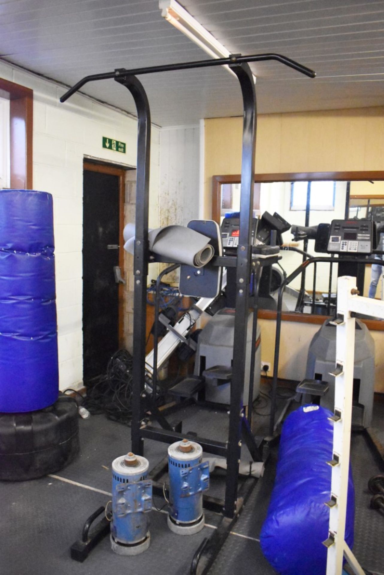 Contents of Bodybuilding and Strongman Gym - Includes Approx 30 Pieces of Gym Equipment, Floor Mats, - Image 66 of 95