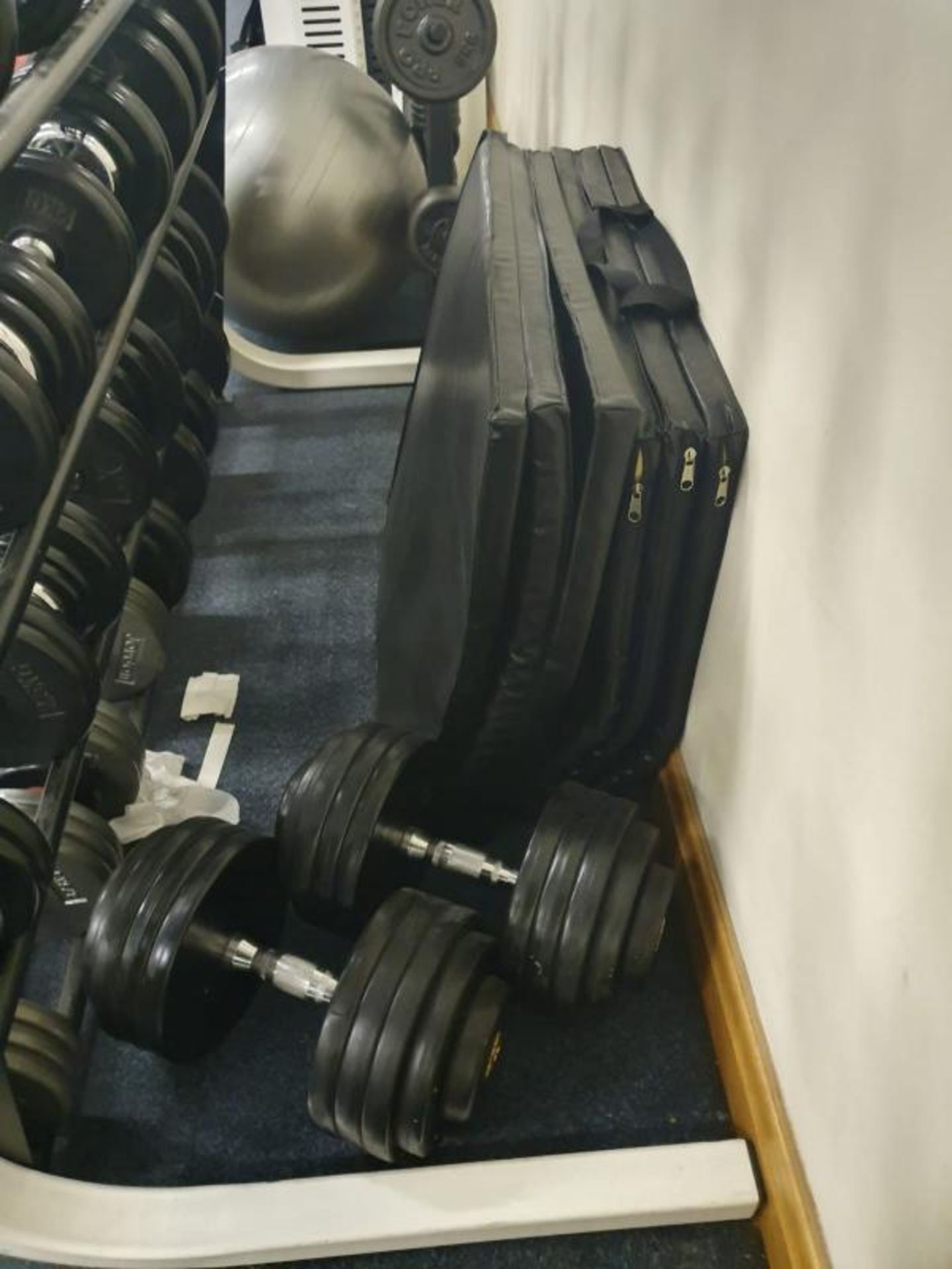 Large Collection of Various Weights Including Approx 20 x Dumbbell Weights With Stand and More - Pro - Image 10 of 13