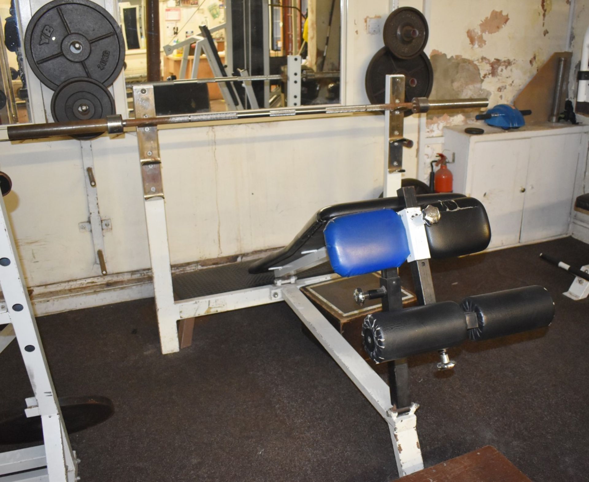 Contents of Bodybuilding and Strongman Gym - Includes Approx 30 Pieces of Gym Equipment, Floor Mats, - Image 19 of 31