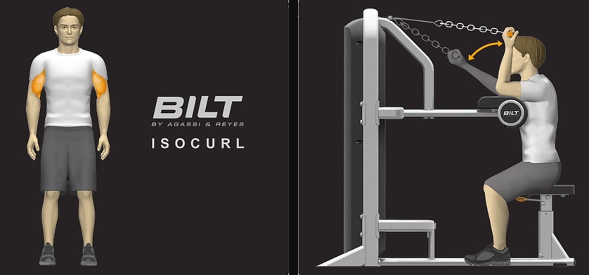 1 x BILT 'ISOCURL' Commercial Gym Machine By Agassi & Reyes - BCIC01 - New / Boxed Stock - Image 2 of 5