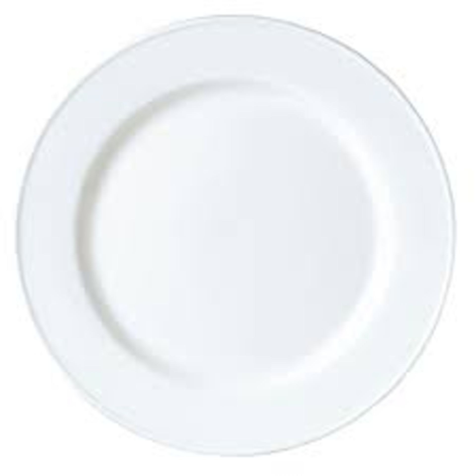 14 x Steelite Oval Plates in white (V0032) & 15 x Steelite slimline plates in white (V0083)