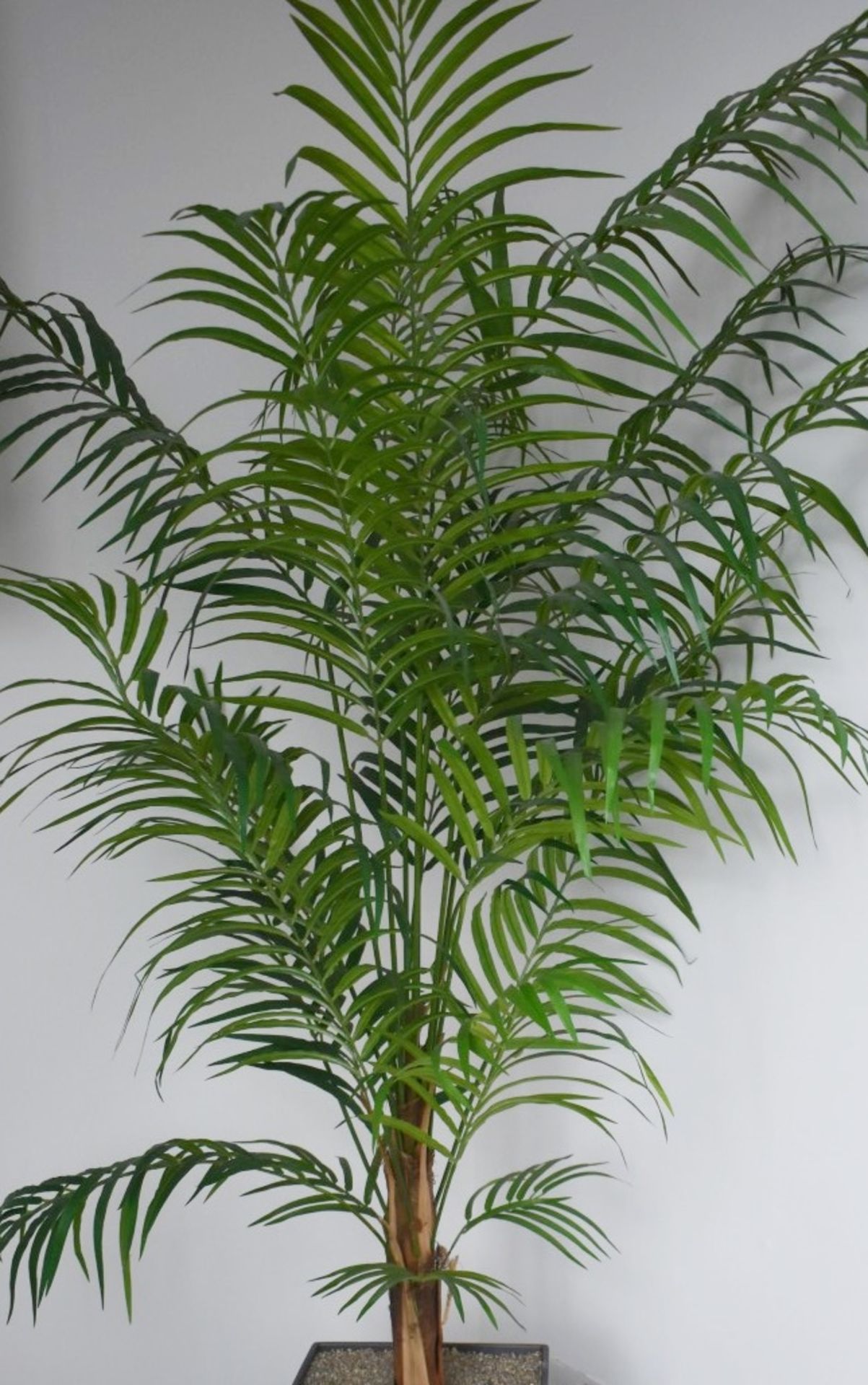 1 x Artificial Plants With Planter - Overall Height 200cm Approx - Ref: FF000 D - CL544 - - Image 2 of 3