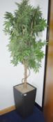 1 x Artificial Plants With Planter - Overall Height 190cm Approx - Ref: FF136 U - CL544 -