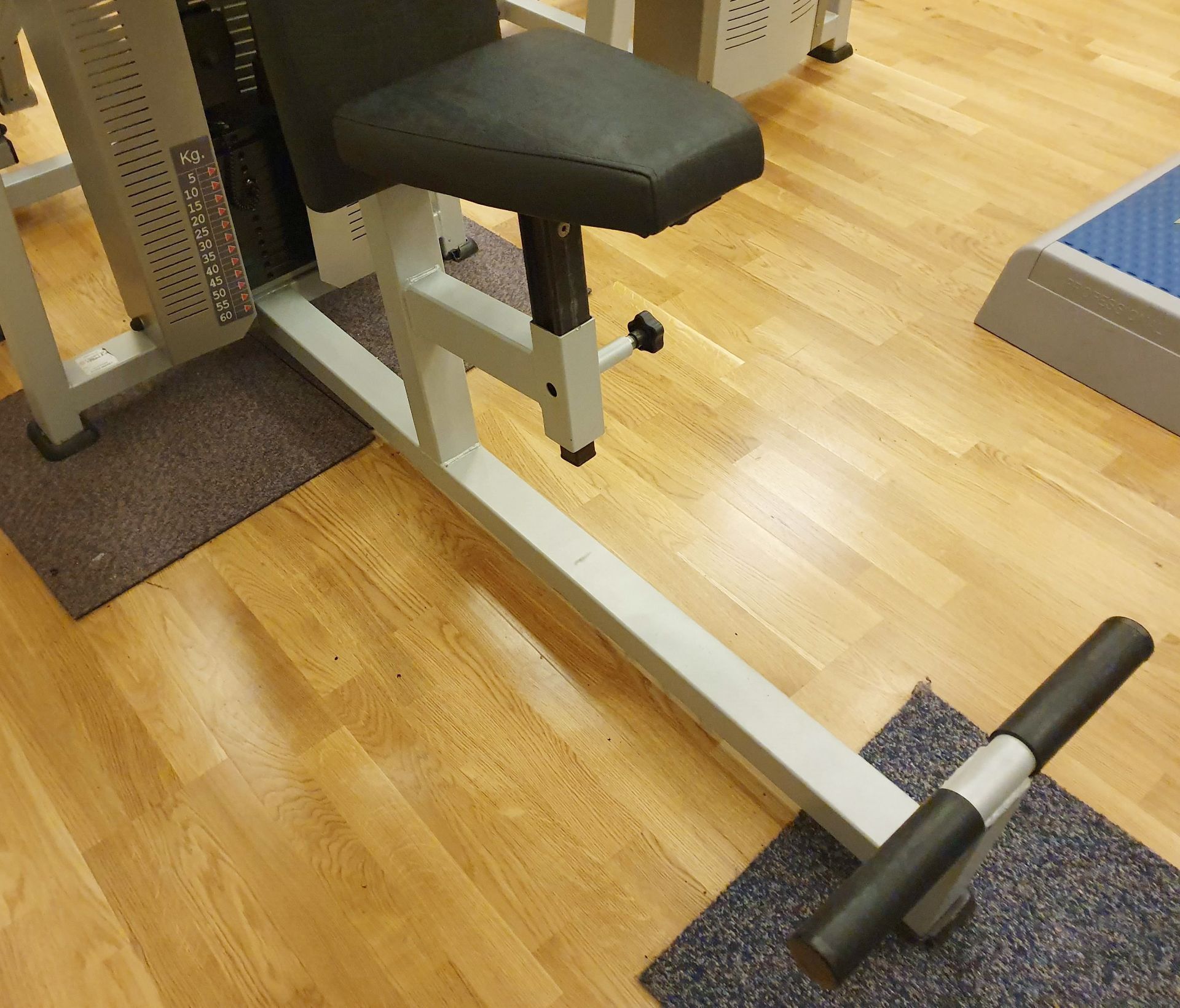 1 x Polaris DE-102 Peck Deck Commercial Gym Machine - CL552 - Location: West Yorkshire This item - Image 6 of 6