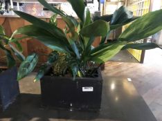 4 x Various Sized Planters With Artificial Plants - CL554 - Ref IM273 - Location: Altrincham WA14