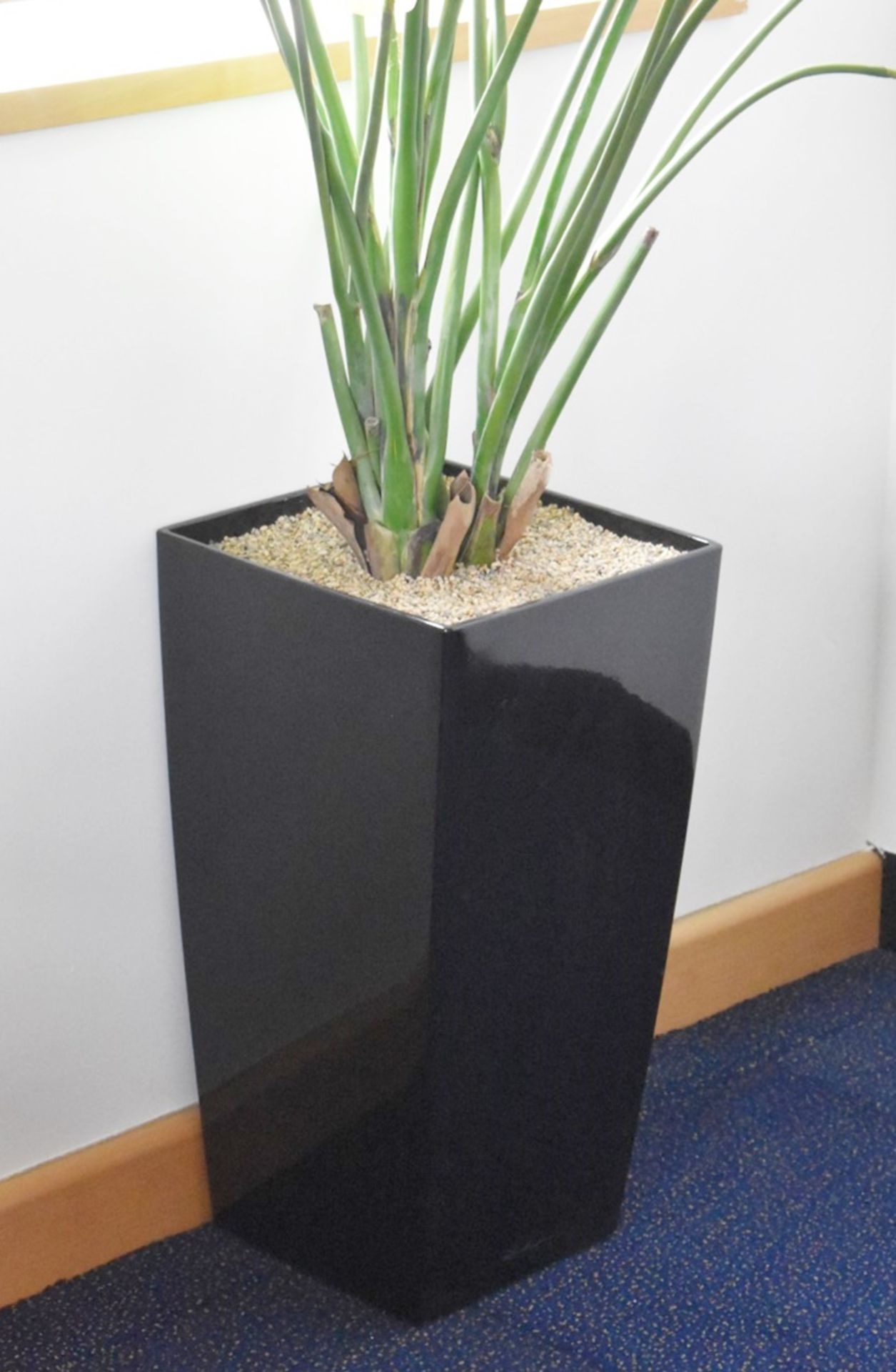 3 x Artificial Plants With Planters - Overall Height 190cm Approx - Ref: FF112 U - CL544 - Location: - Image 8 of 9