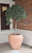 Pair of Large Terracotta Garden Planters With Artificial Plants - Approx Size Height 200 x