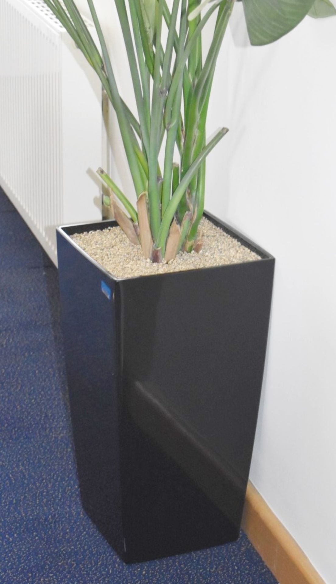 3 x Artificial Plants With Planters - Overall Height 190cm Approx - Ref: FF112 U - CL544 - Location: - Image 3 of 9