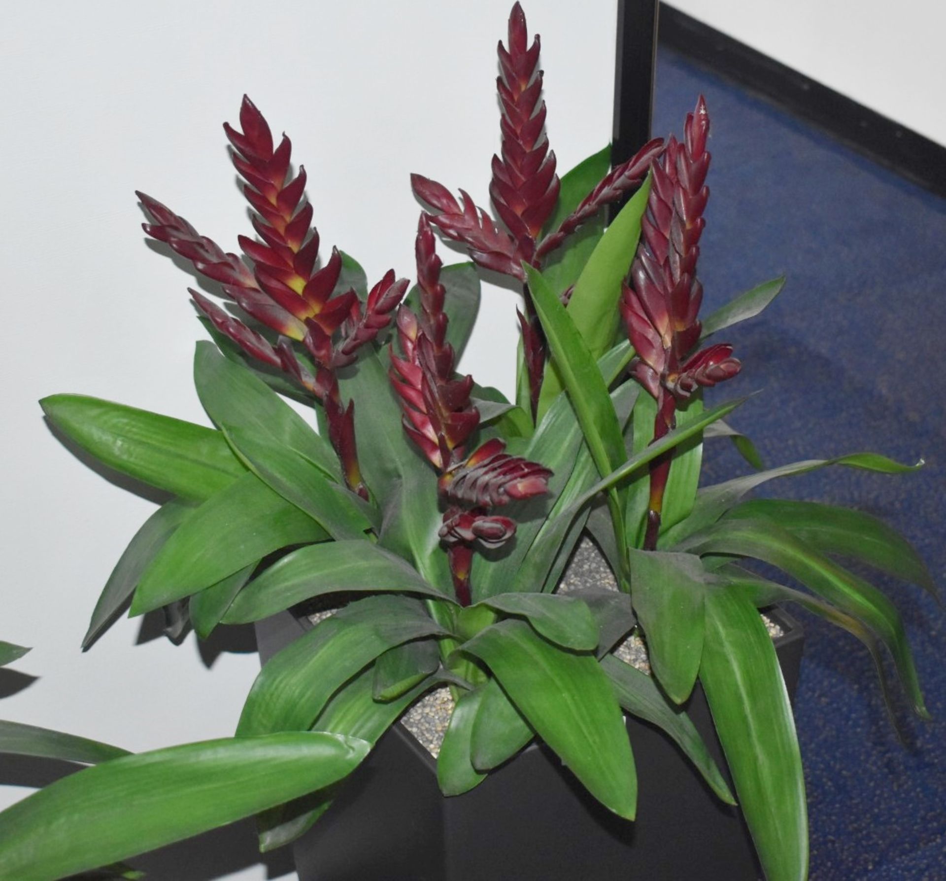 2 x Artificial Plants With Planters - Overall Height 97cm Approx - Ref: FF132 U - CL544 - - Image 3 of 4