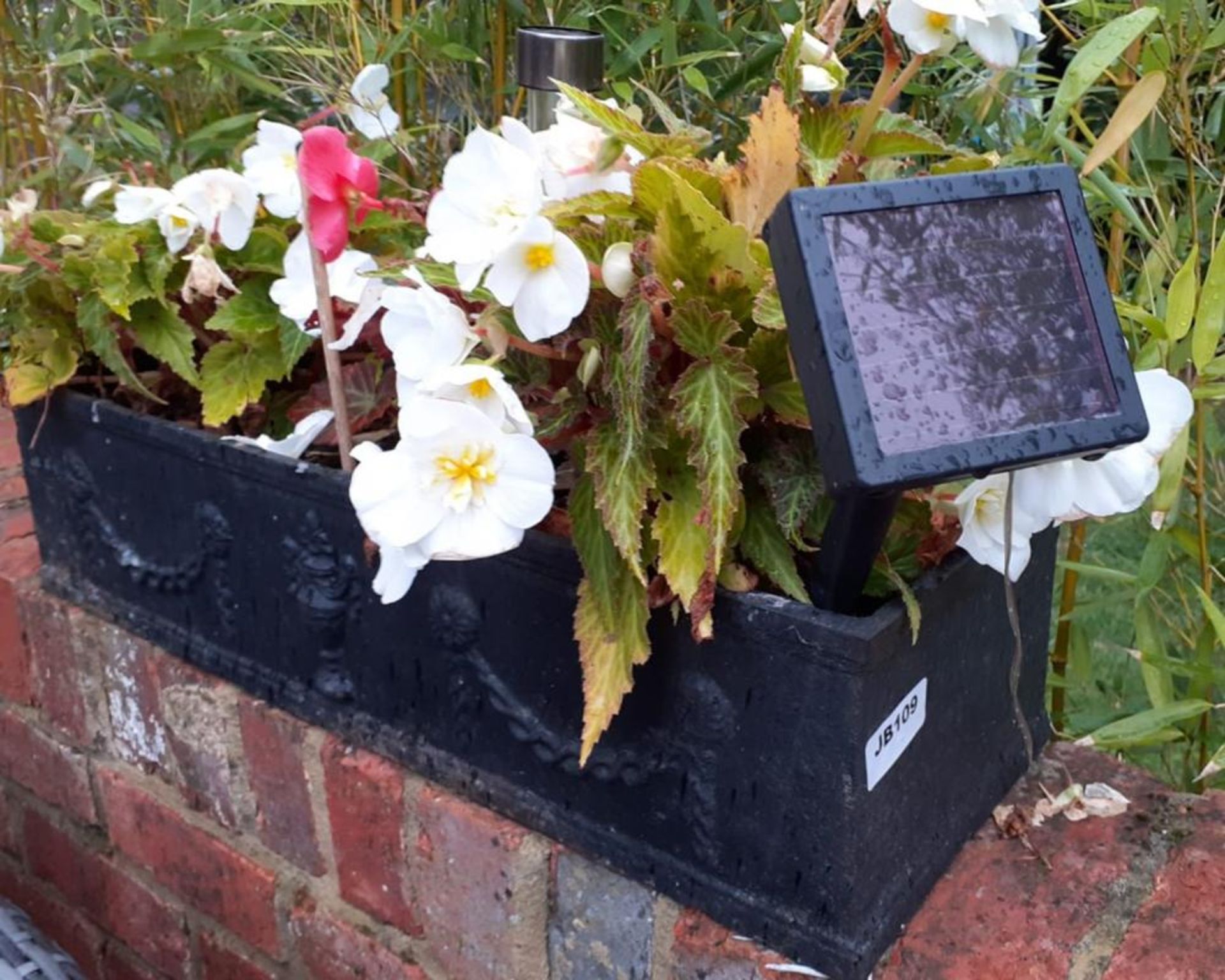 1 x Cast Iron Decorative And Ornate Planter - Dimensions: 60 x 21 x height 15cm - Ref: JB109 - Pre-O - Image 2 of 2