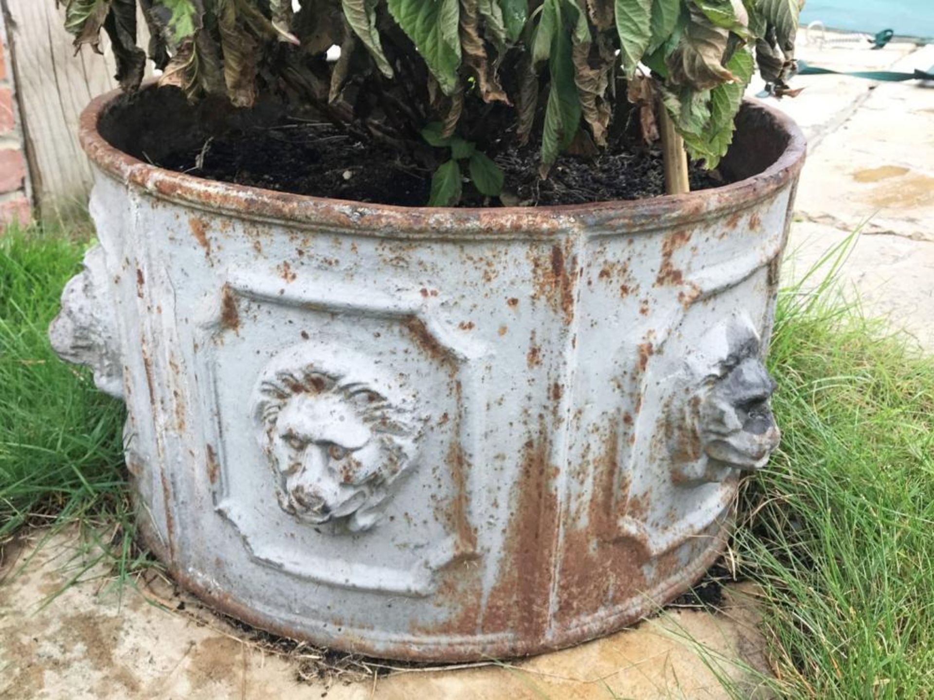 1 x Large Round Cast Iron Planter / Trough With Lion Heads Around The Circumference - Dimensions: Di - Image 3 of 3