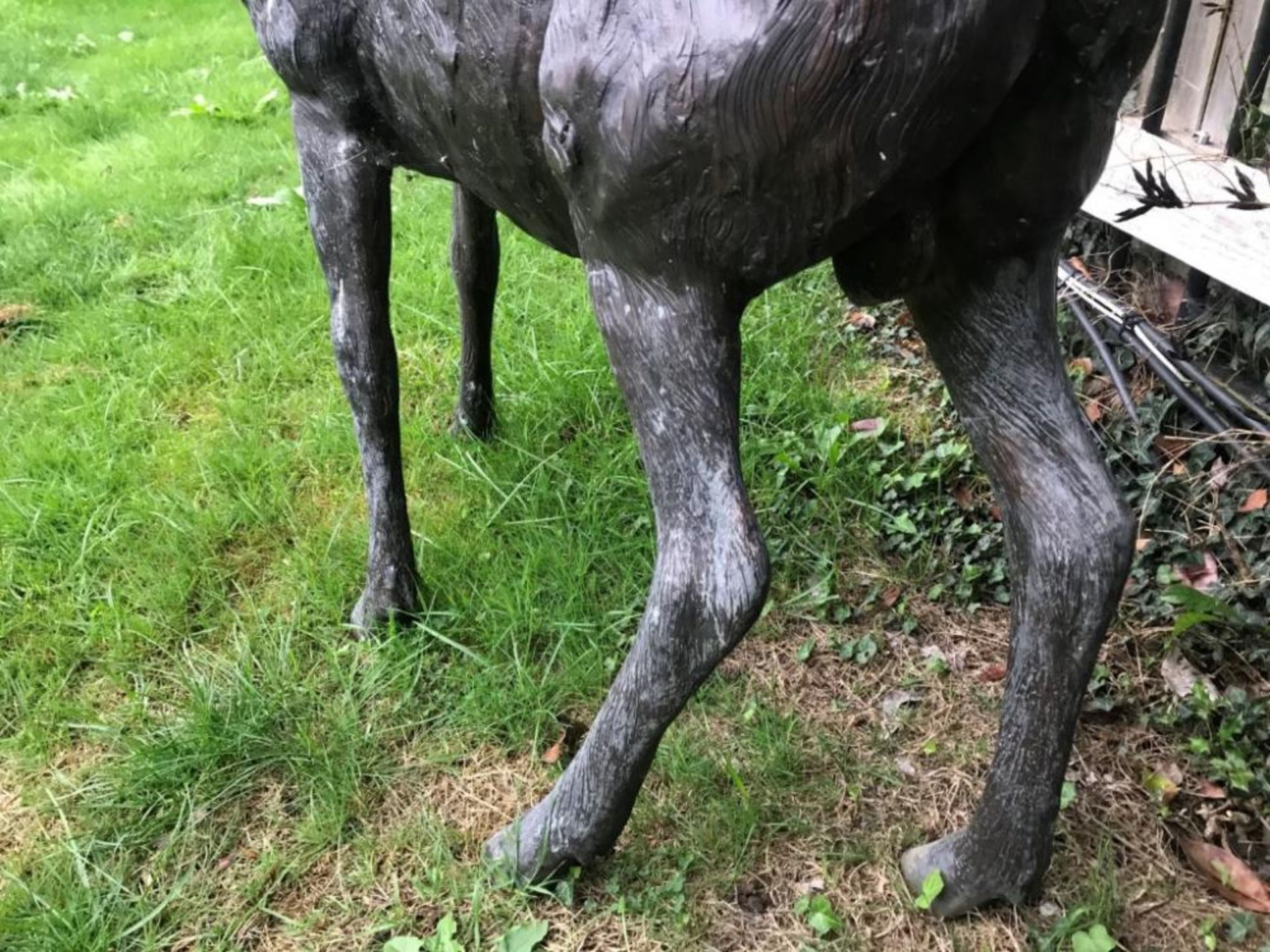 1 x A Magnificent Large Bronze Male Buck Stag Outdoor Sculpture / Statue - Measurement Width 100cm x - Image 6 of 8