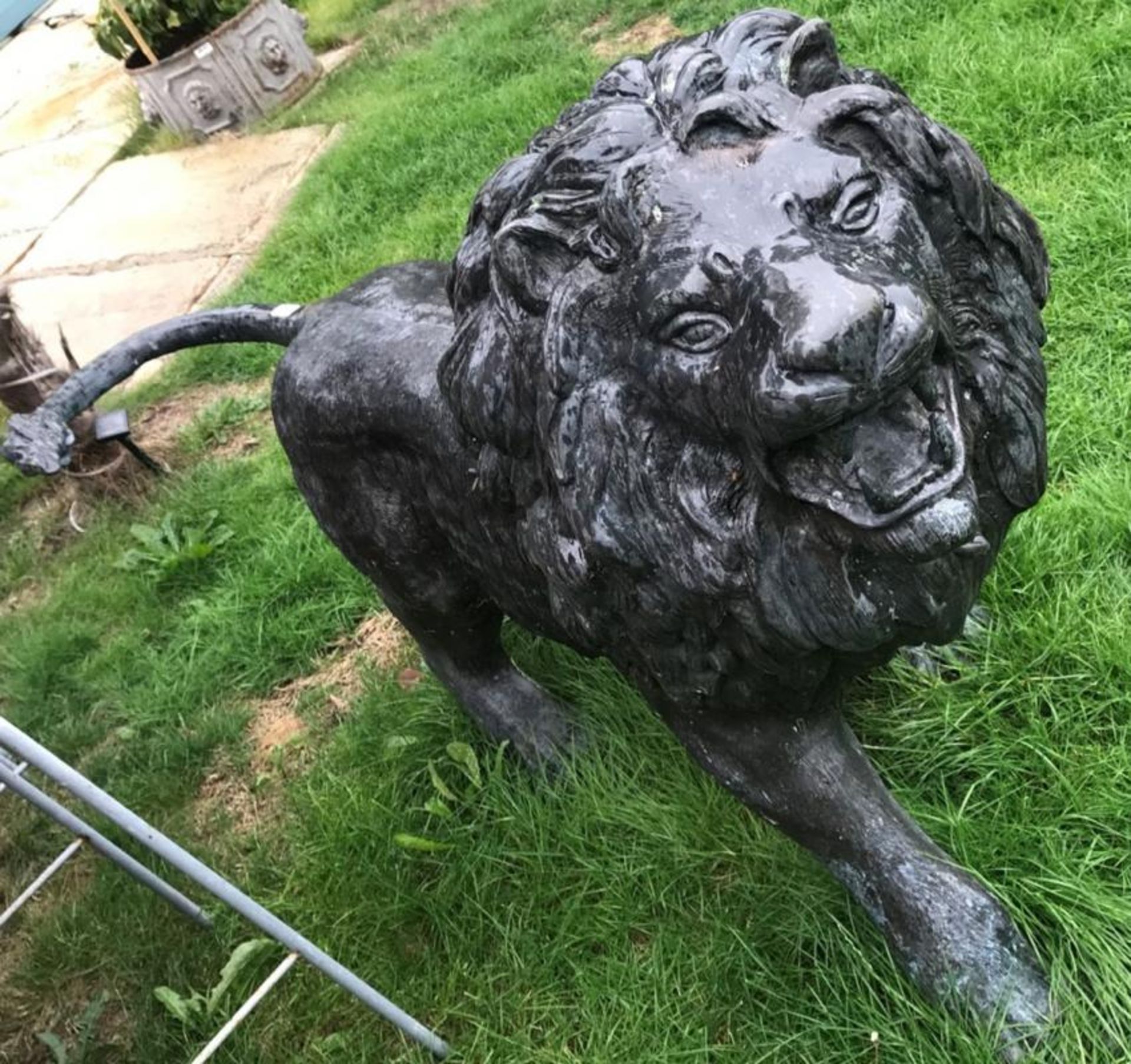 1 x Majestic Realistic Giant Solid Bronze Standing Male Lion Garden Sculpture, Looking Slightly To H - Image 4 of 7