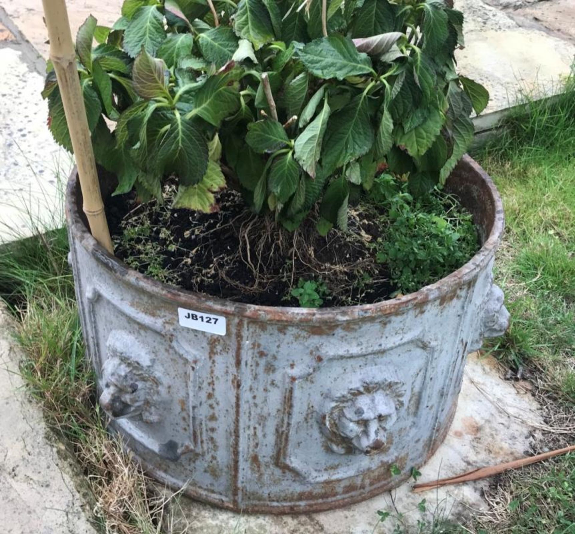 1 x Large Round Cast Iron Planter / Trough With Lion Heads Around The Circumference - Dimensions: Di