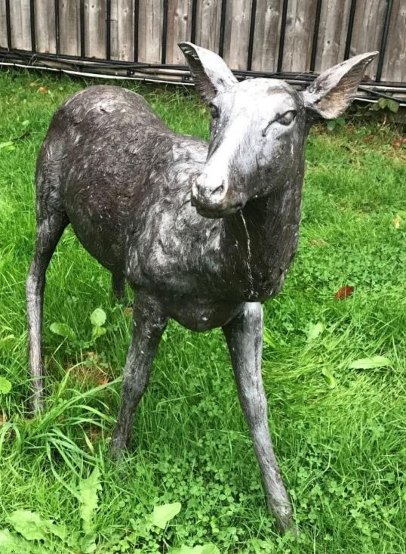 1 x A Magnificent Large Life Sized Bronze Doe Deer Outdoor Sculpture / Stag - Dimensions: Width 100c