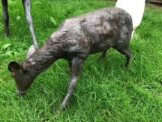 1 x A Magnificent Large Life Sized Bronze Fawn Deer Outdoor Sculpture / Stag - Dimensions: Width 75c