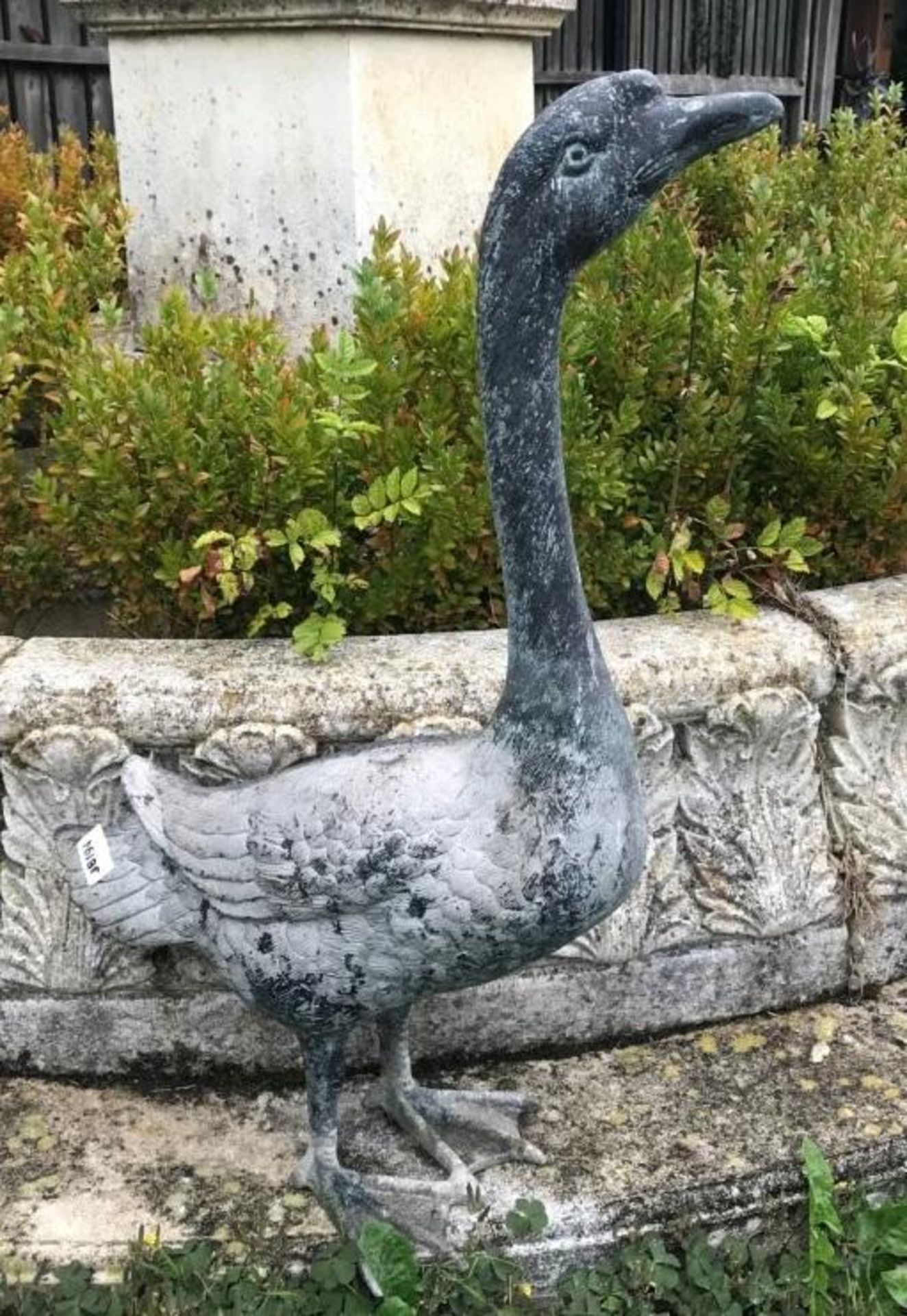 1 x A Lifelike Sized Bronze Swan / Goose Outdoor Sculpture / Statue - Dimensions: Width 60cm x Heigh