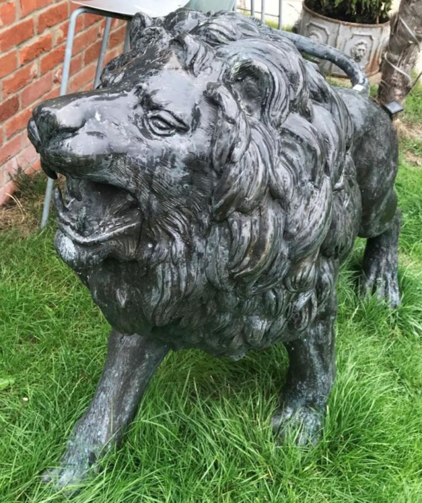 1 x Majestic Realistic Giant Solid Bronze Standing Male Lion Garden Sculpture, Looking Slightly To H - Image 2 of 7