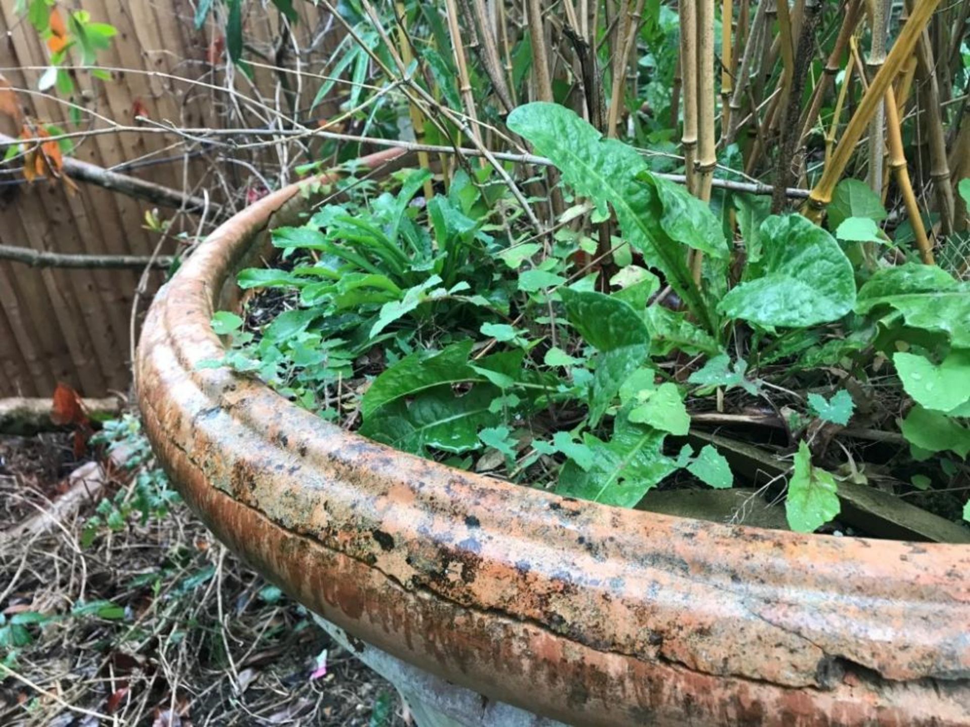 1 x Gigantic Ceramic Planter With A Diameter Of 115cm And A Height Of 75cm! - Ref: JB167 - Pre-Owned - Image 3 of 5