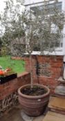 1 x Substantial Garden Planter - Dimensions: Diameter 75cm x Height 55cm - Ref: JB115 - Pre-Owned -