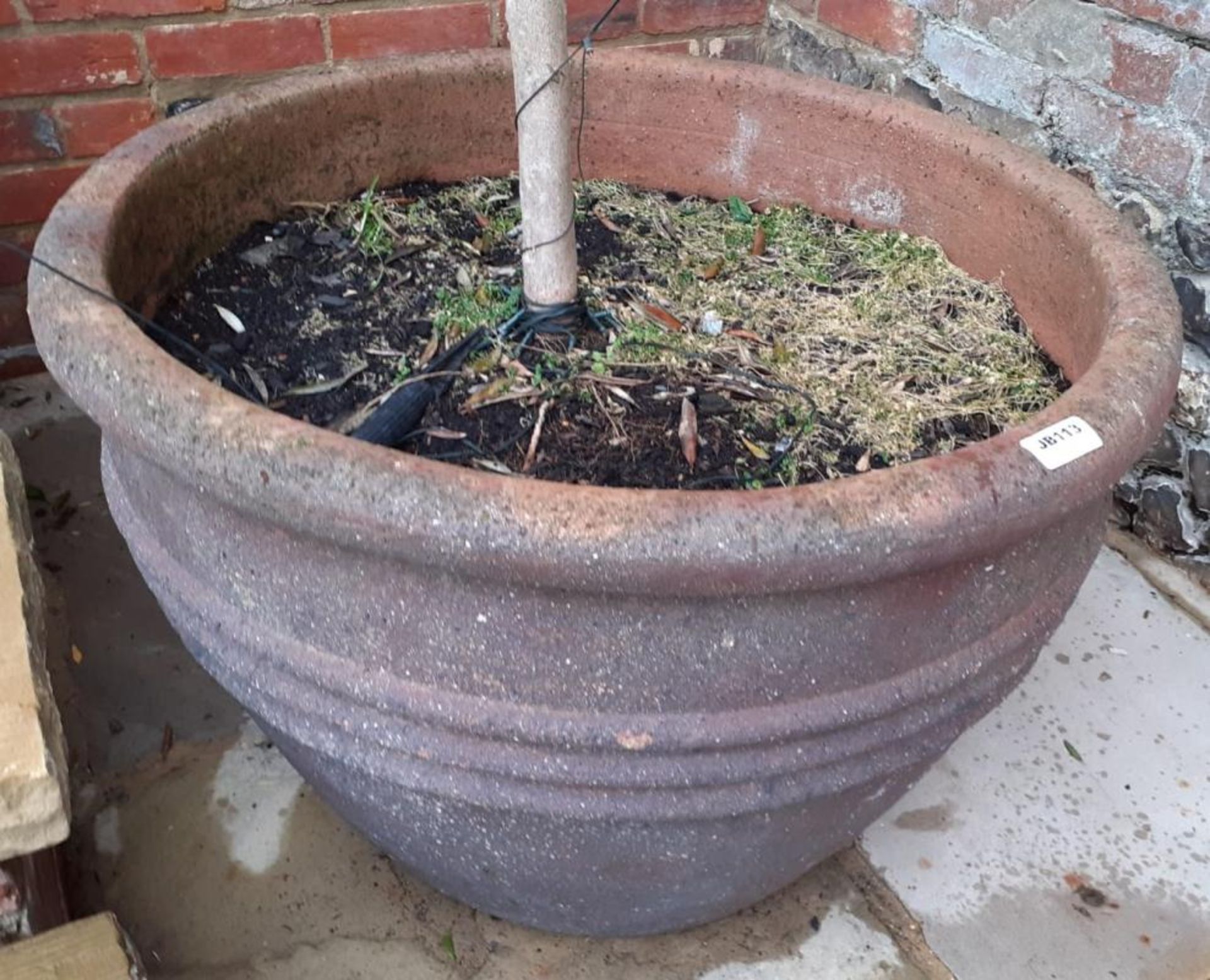 1 x Substantial Garden Planter Diameter 75cm x height 55cm - Ref: JB113 - Pre-Owned - NO VAT ON THE - Image 2 of 6