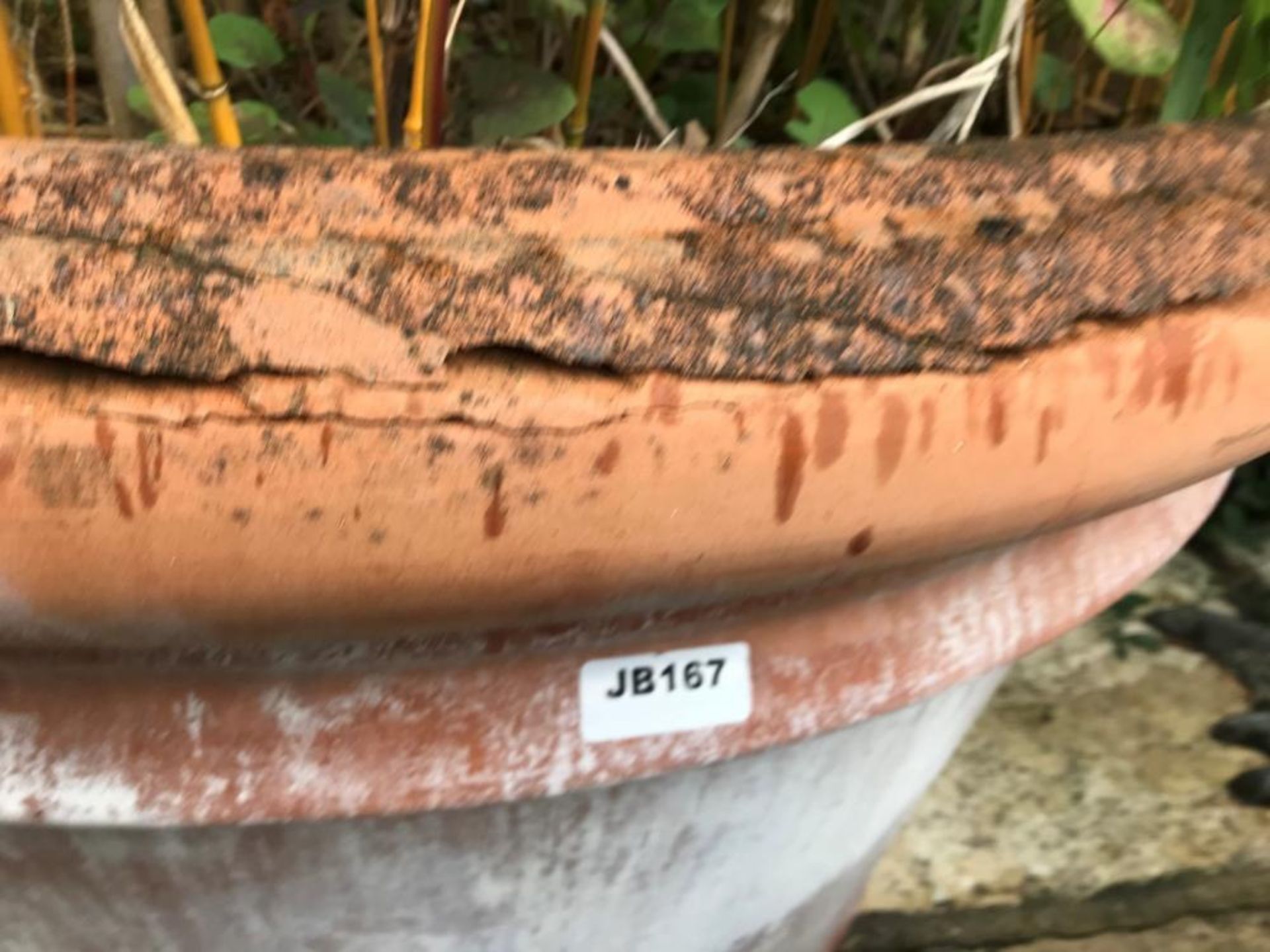 1 x Gigantic Ceramic Planter With A Diameter Of 115cm And A Height Of 75cm! - Ref: JB167 - Pre-Owned - Image 5 of 5