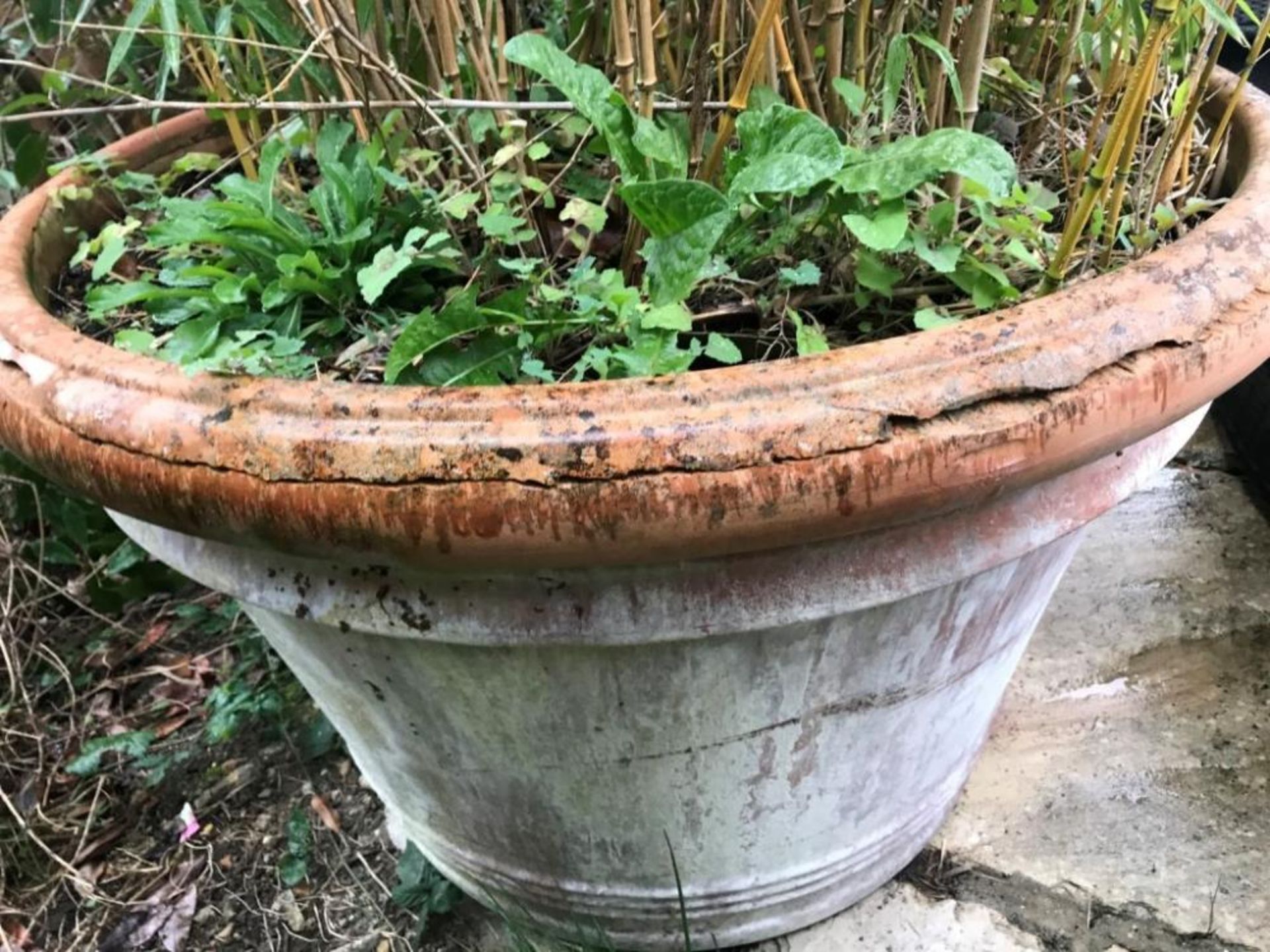 1 x Gigantic Ceramic Planter With A Diameter Of 115cm And A Height Of 75cm! - Ref: JB167 - Pre-Owned - Image 4 of 5