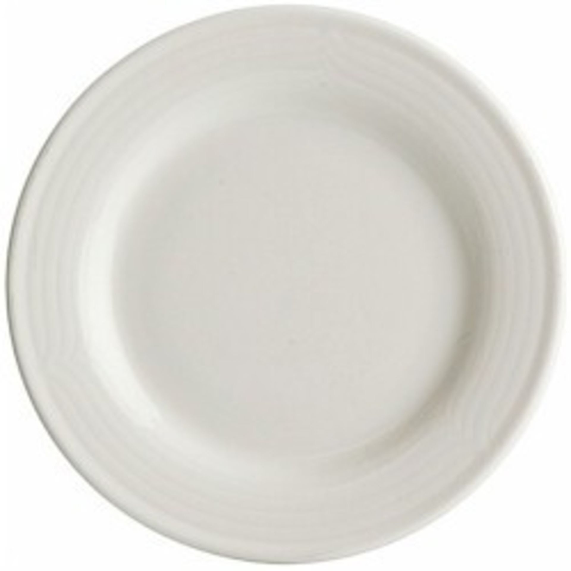49 x Commercial Round Dining Plates - Features An Assortment Of Villeroy & Boch And ARCOROC Pieces -