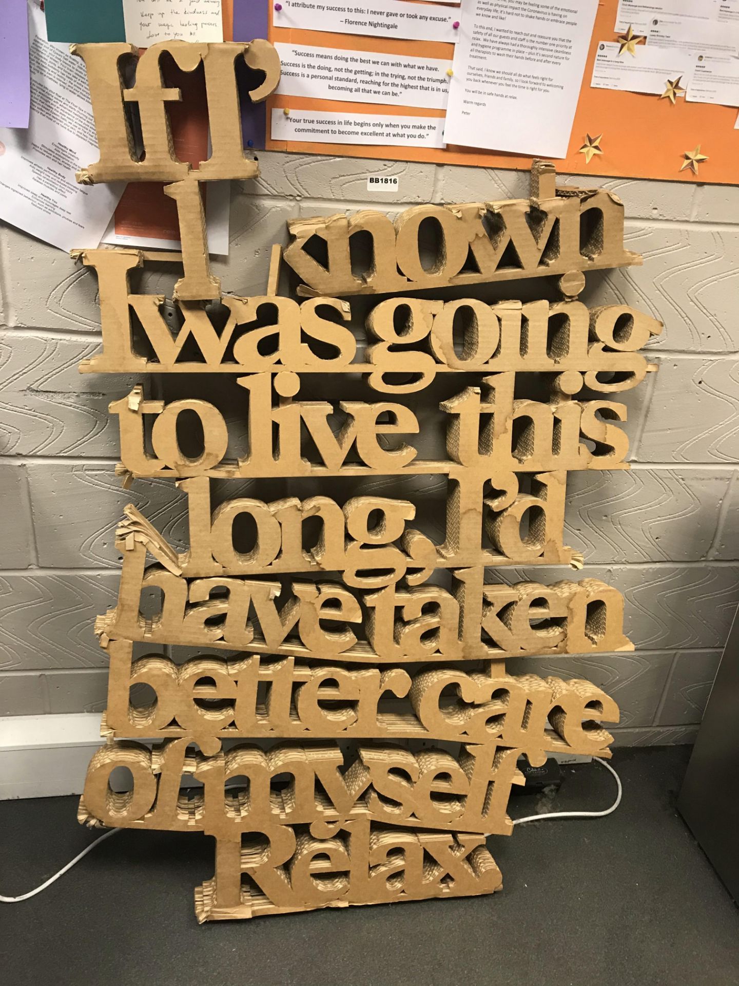 Assorted Lot of Deep Corrugated Cardboard Signage - If I Known I Was Going To Live This Long, I'd