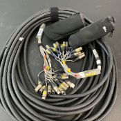 1 X Xlr Loom 12 Sends/4 Returns 20M - Ref: 1365 - CL581 - Location: Altrincham Wa14