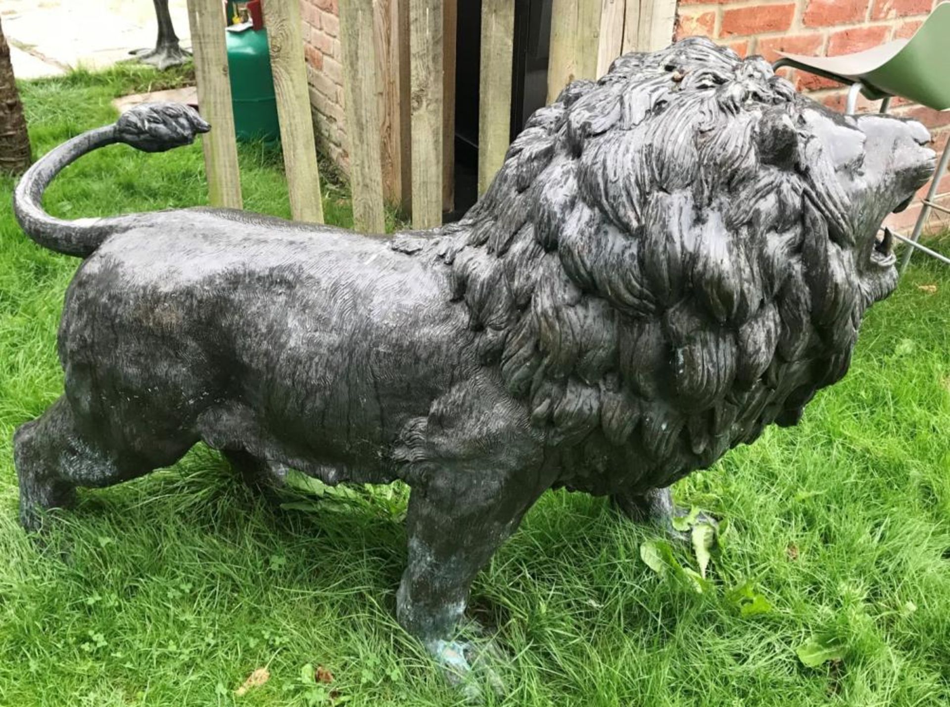 1 x Majestic Realistic Giant 1.6 Metre Tall Solid Bronze Standing Male Lion Garden Sculpture, - Image 2 of 9