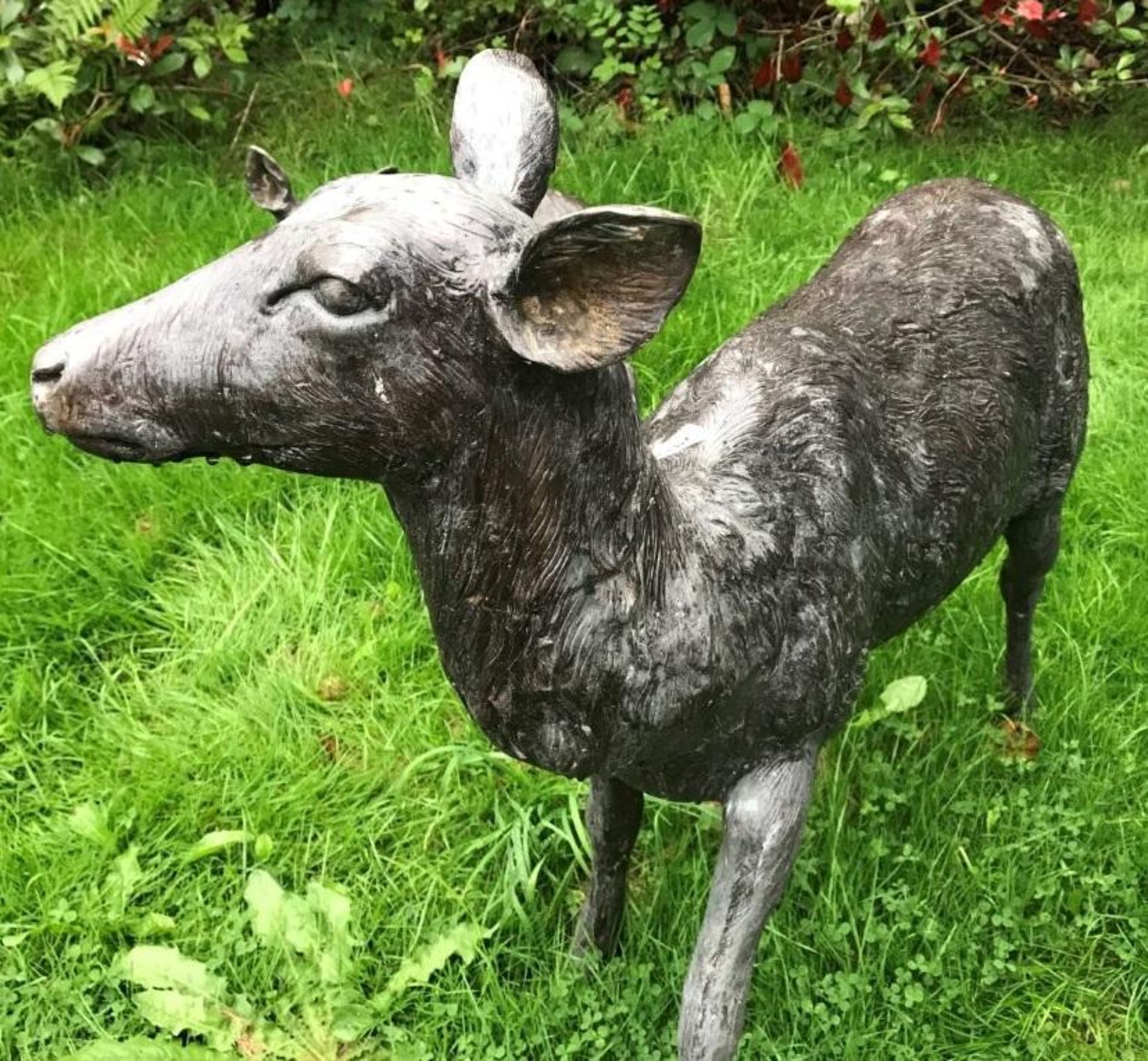 1 x A Magnificent Large Life Sized Bronze Doe Deer Outdoor Sculpture / Stag - Dimensions: Width - Image 3 of 6
