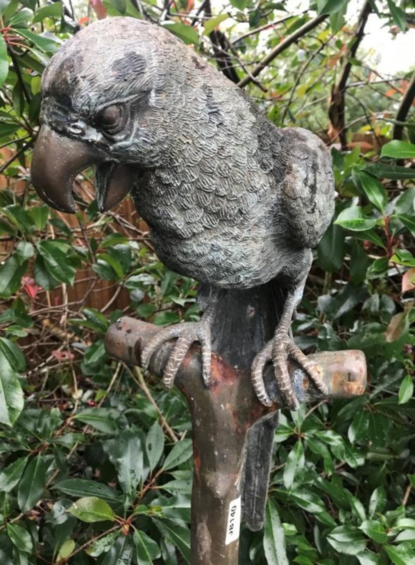 1 x Majestic Looking Lifelike Giant Solid Bronze Oversized Parrot On Perch Garden Sculpture - - Image 2 of 9