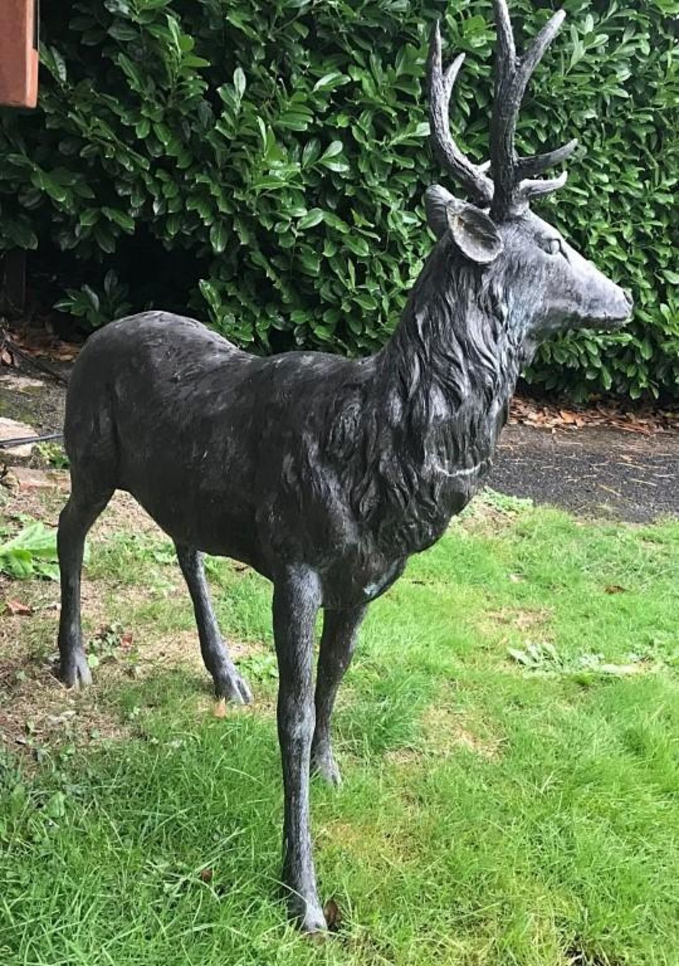 1 x A Magnificent Large Bronze Male Buck Stag Outdoor Sculpture / Statue - Measurement Width 100cm x - Image 5 of 8