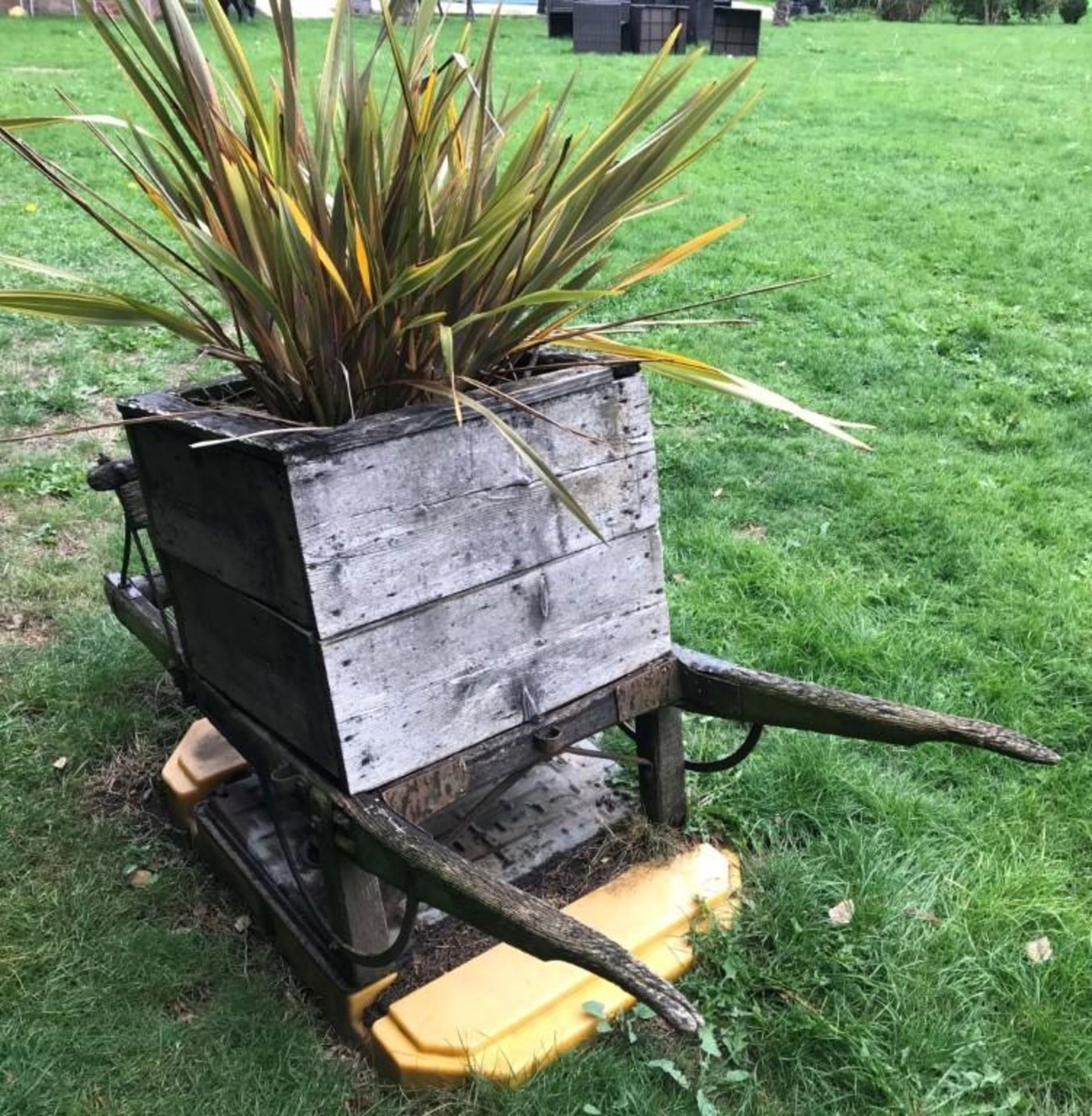 1 x Large Wood Feature Wheel Barrow Planter - Dimensions: L195cm x D58cm x H83cm - Ref: JB118 - - Image 5 of 6