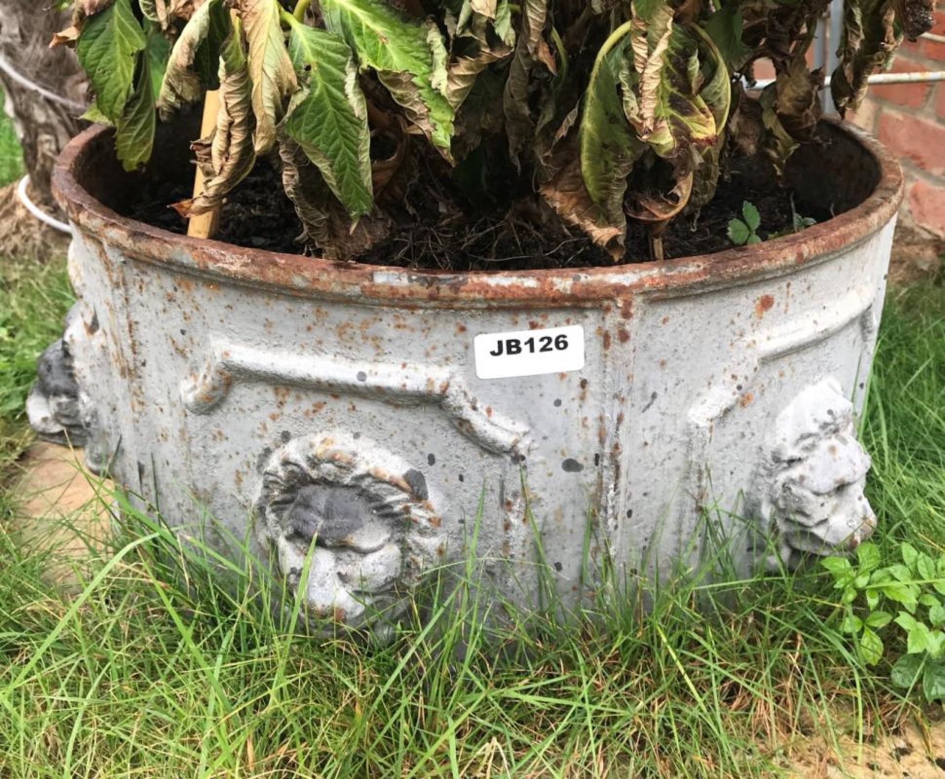 1 x Large Round Cast Iron Planter / Trough With Lion Heads Around The Circumference - Dimensions: - Image 2 of 3