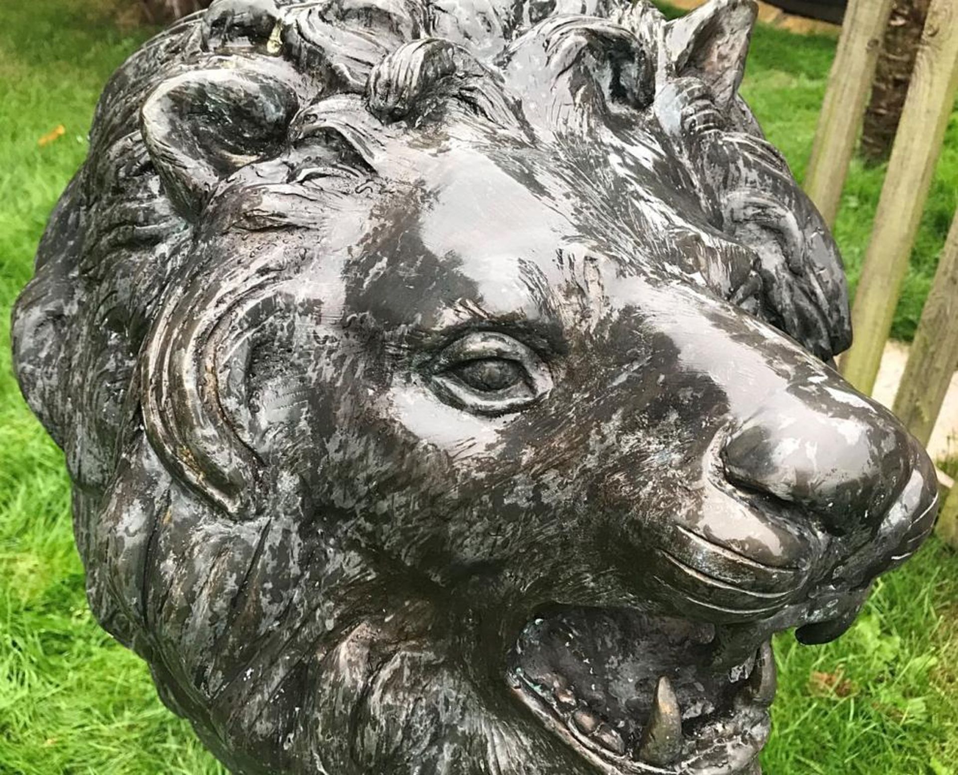 1 x Majestic Realistic Giant 1.6 Metre Tall Solid Bronze Standing Male Lion Garden Sculpture, - Image 7 of 9