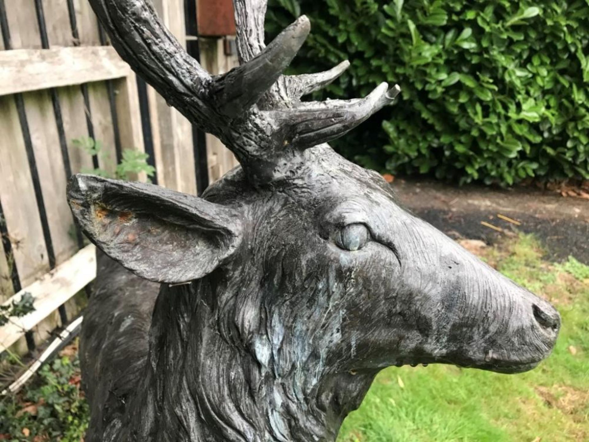 1 x A Magnificent Large Bronze Male Buck Stag Outdoor Sculpture / Statue - Measurement Width 100cm x - Image 3 of 8