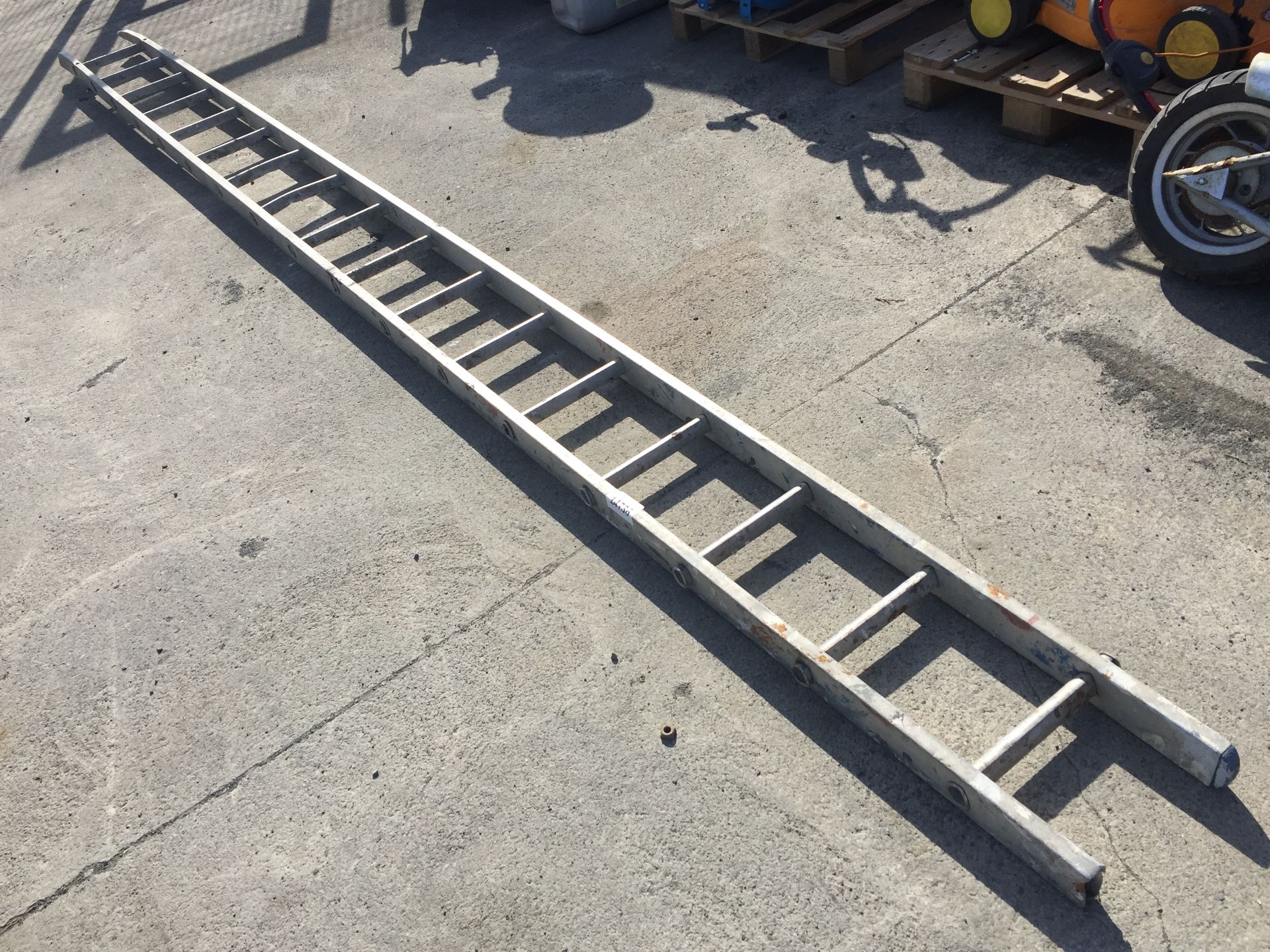 PL-14736 20 Rung Ladder