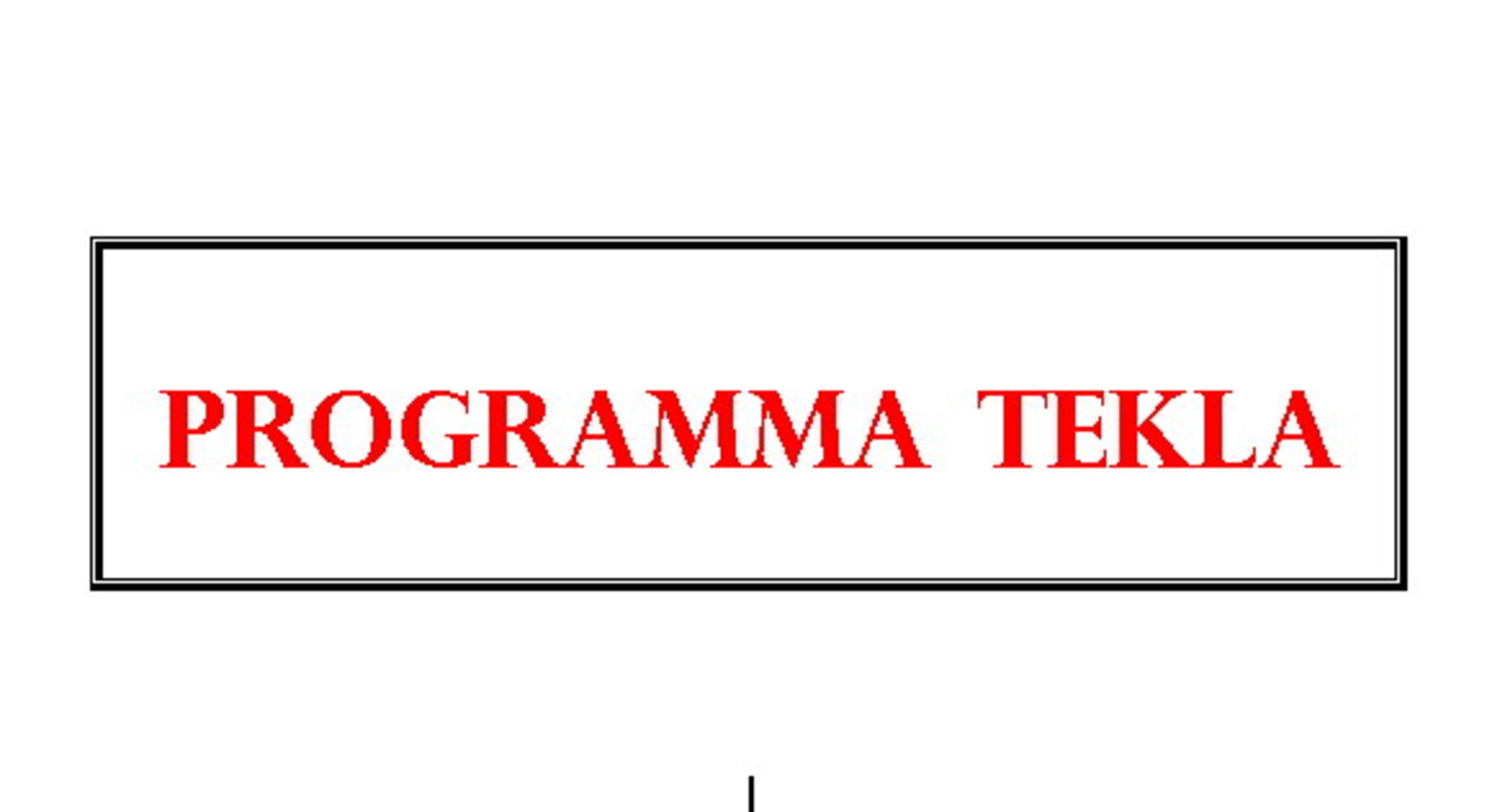 LOTTO 2 (781 I.V FALLIMENTO) PROGRAMMA TEKLA: 38) TEKLA STRUCTURE ACCIAIO LICENZA PRINCIPALE, 39)