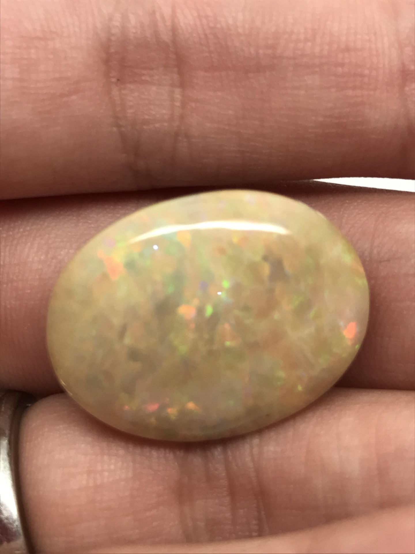 WOW UNHEATED 22.32CT NATURAL OPAL PGTL CERTIFIED - Image 3 of 3