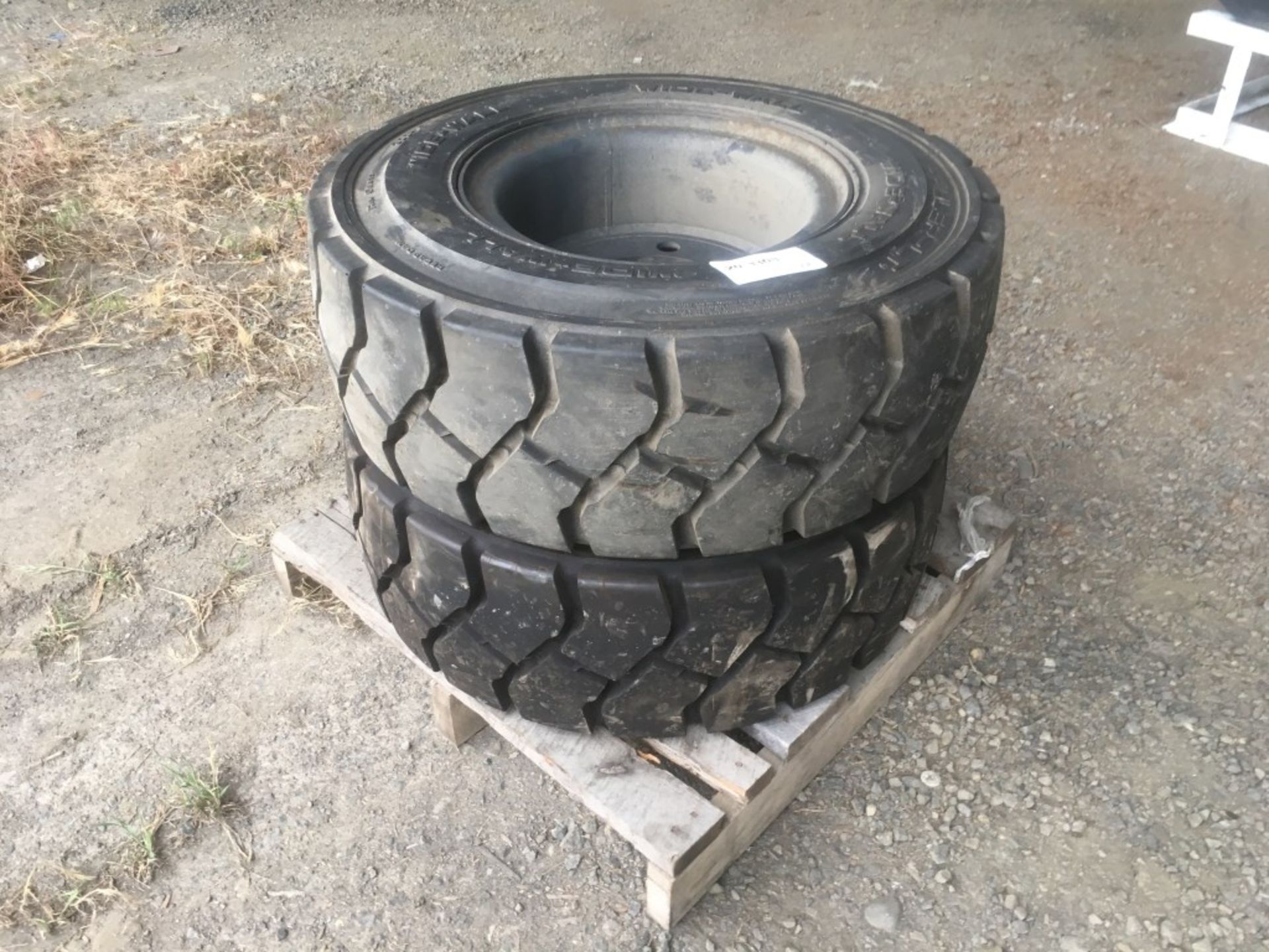 Hauler-LT 300-15NHS Tires, Qty. 2