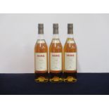 3 bts Hine Grande Champagne Cognac 1988,