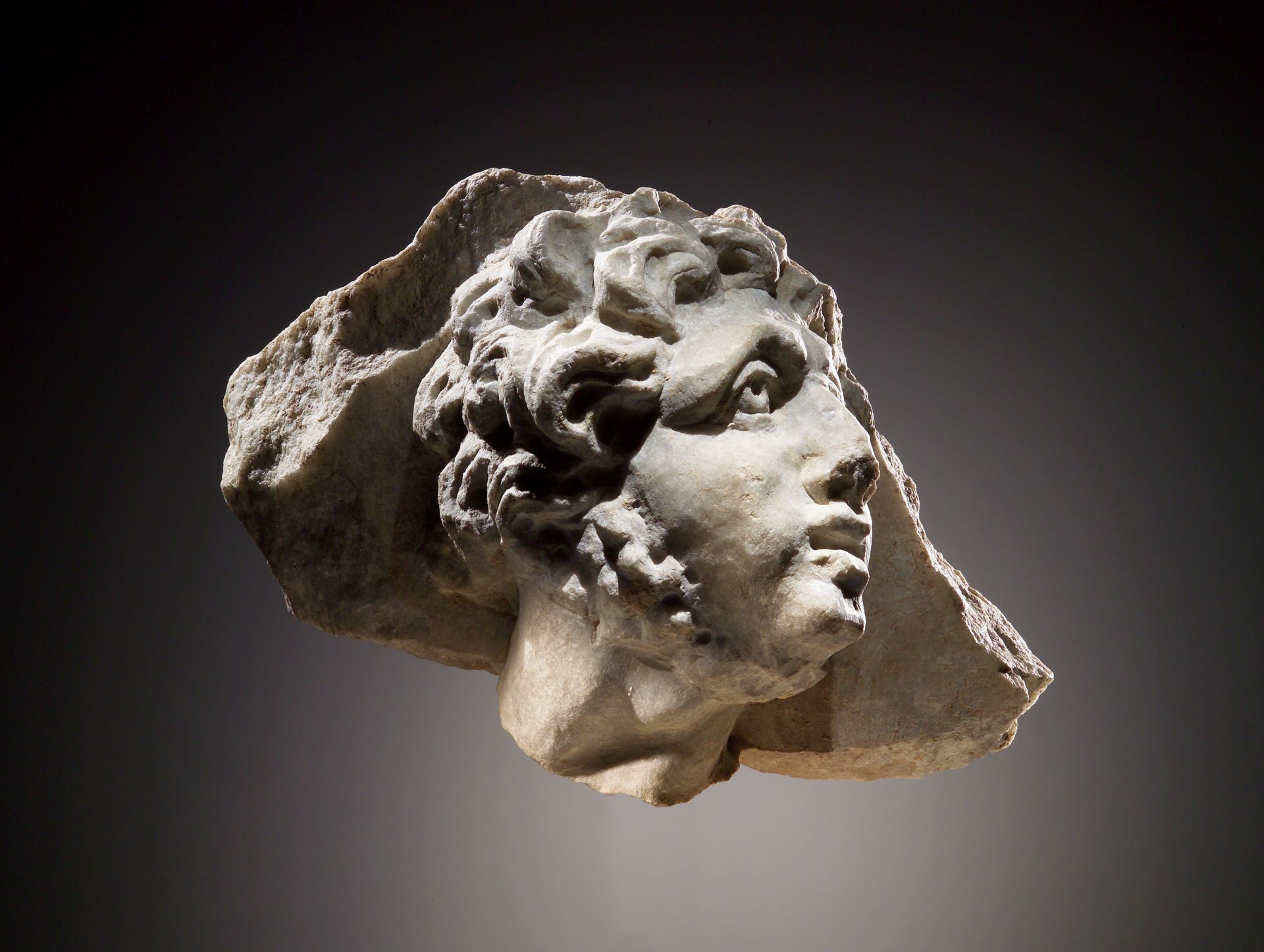 A Head of a Man in Relief