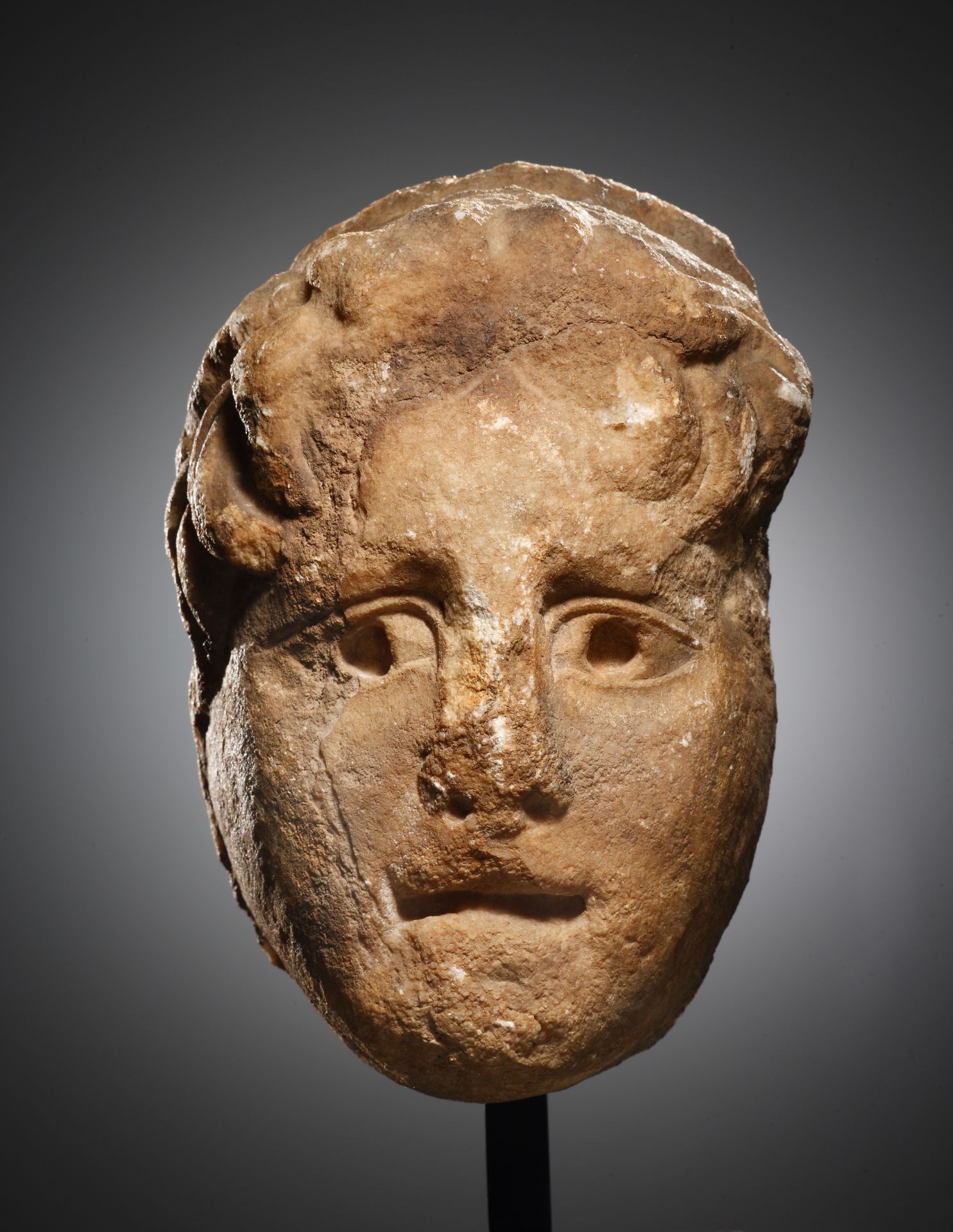 A Head of a Youth in Relief